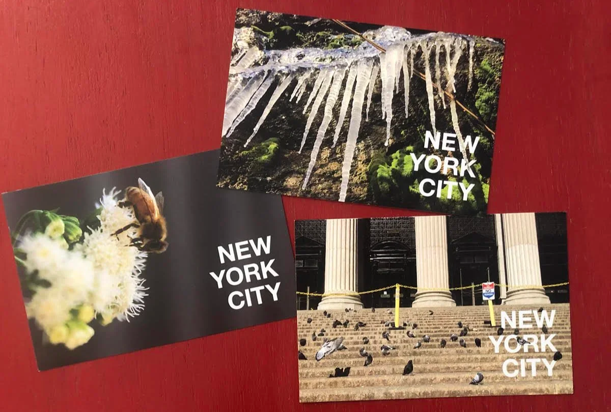 3+pack+nyc+natureposcards.jpg.png