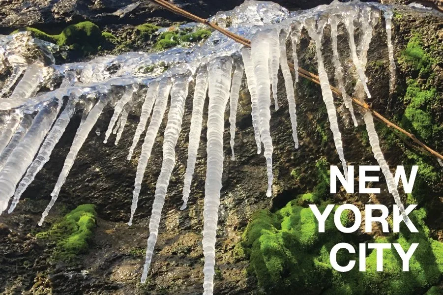 Icicles in St. Nicholas Park Postcard