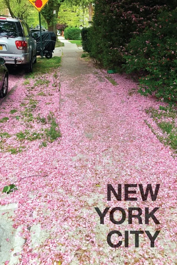 Richmond Hill Concrete Blossoms Postcard