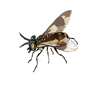 klegg.png