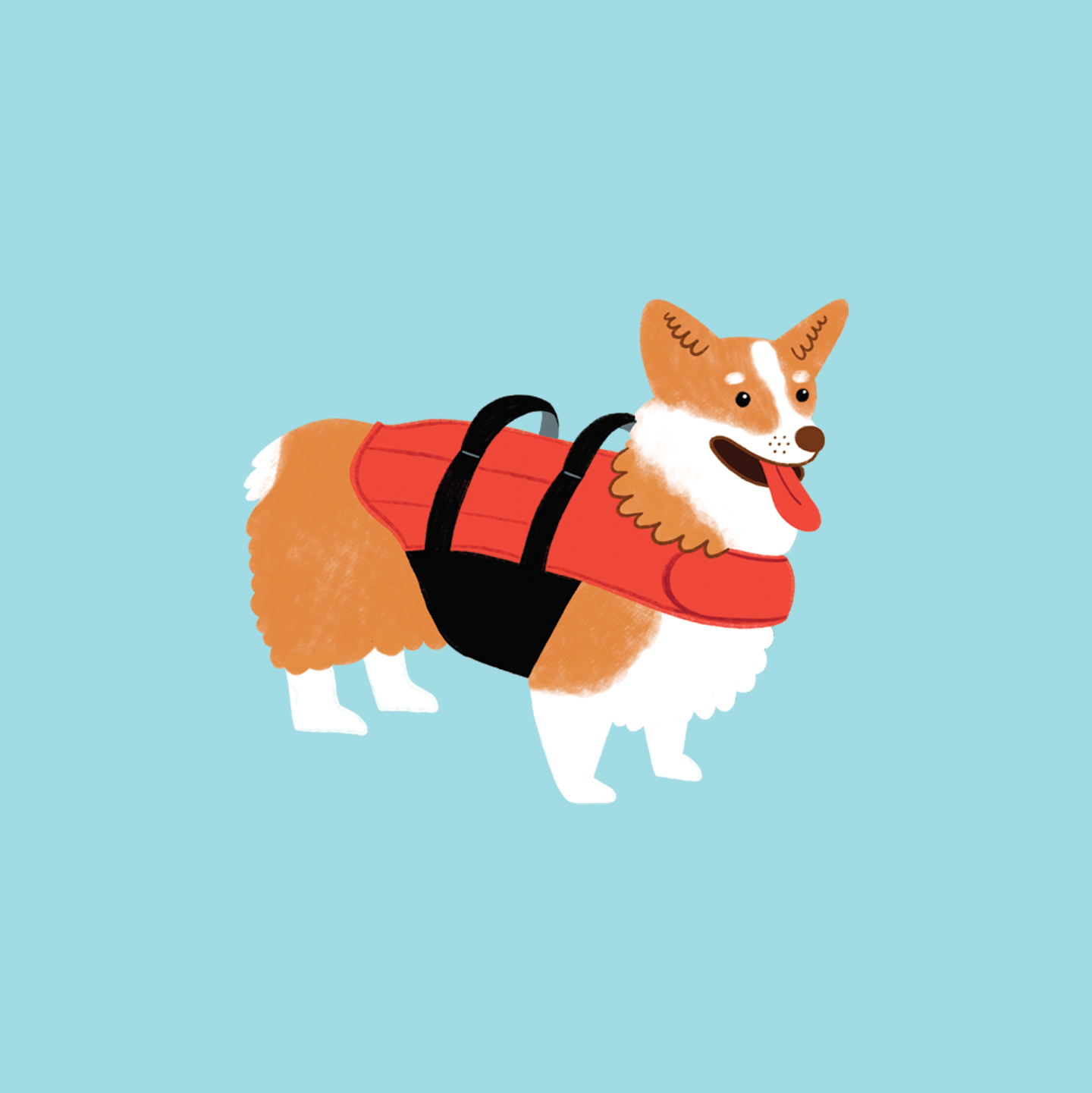 Corgi.png.webp
