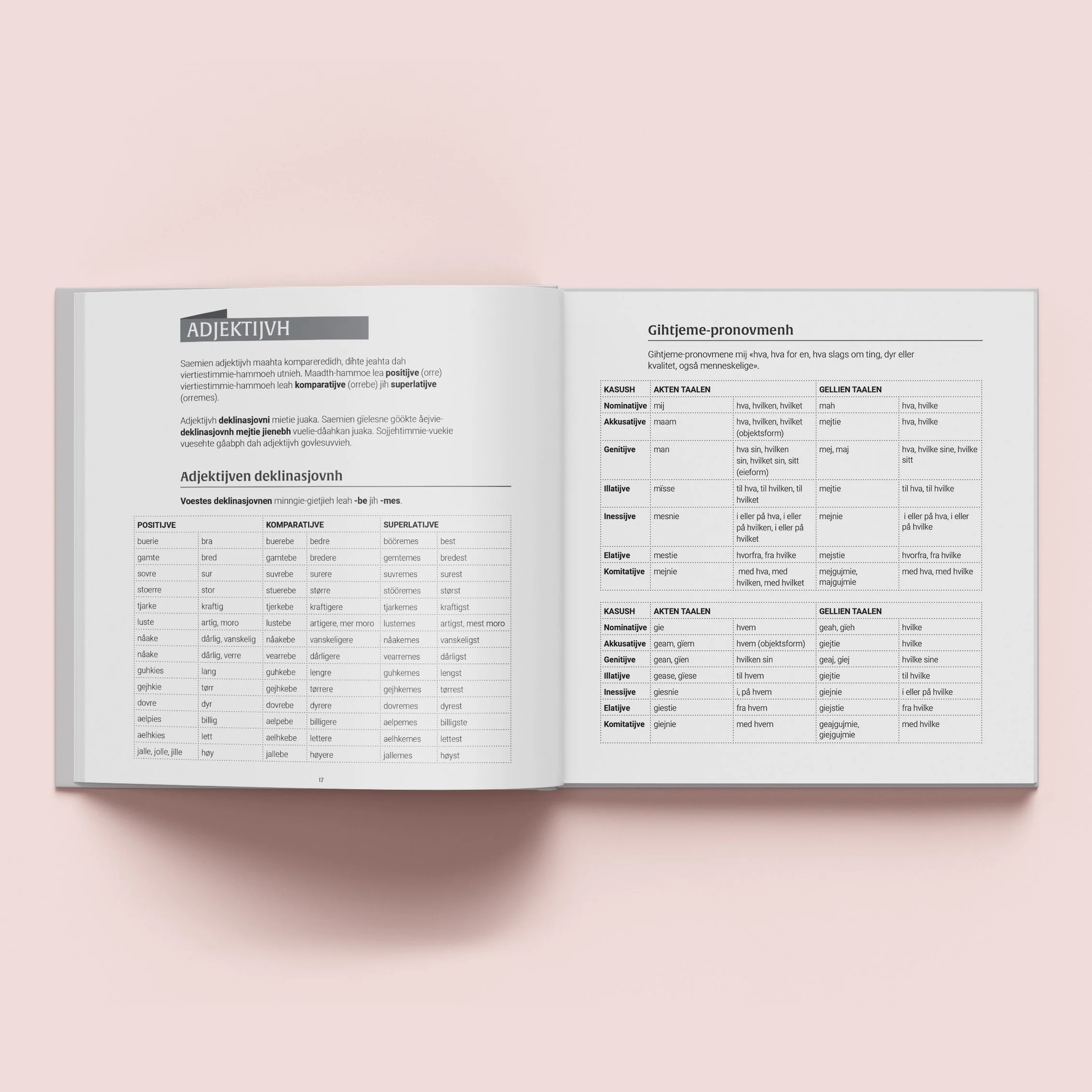 Onne grammatihke,Davvi Girji.
Grammatikkbok, sørsamisk.
Omslagsdesign, illustrasjon, layout og ombrekking