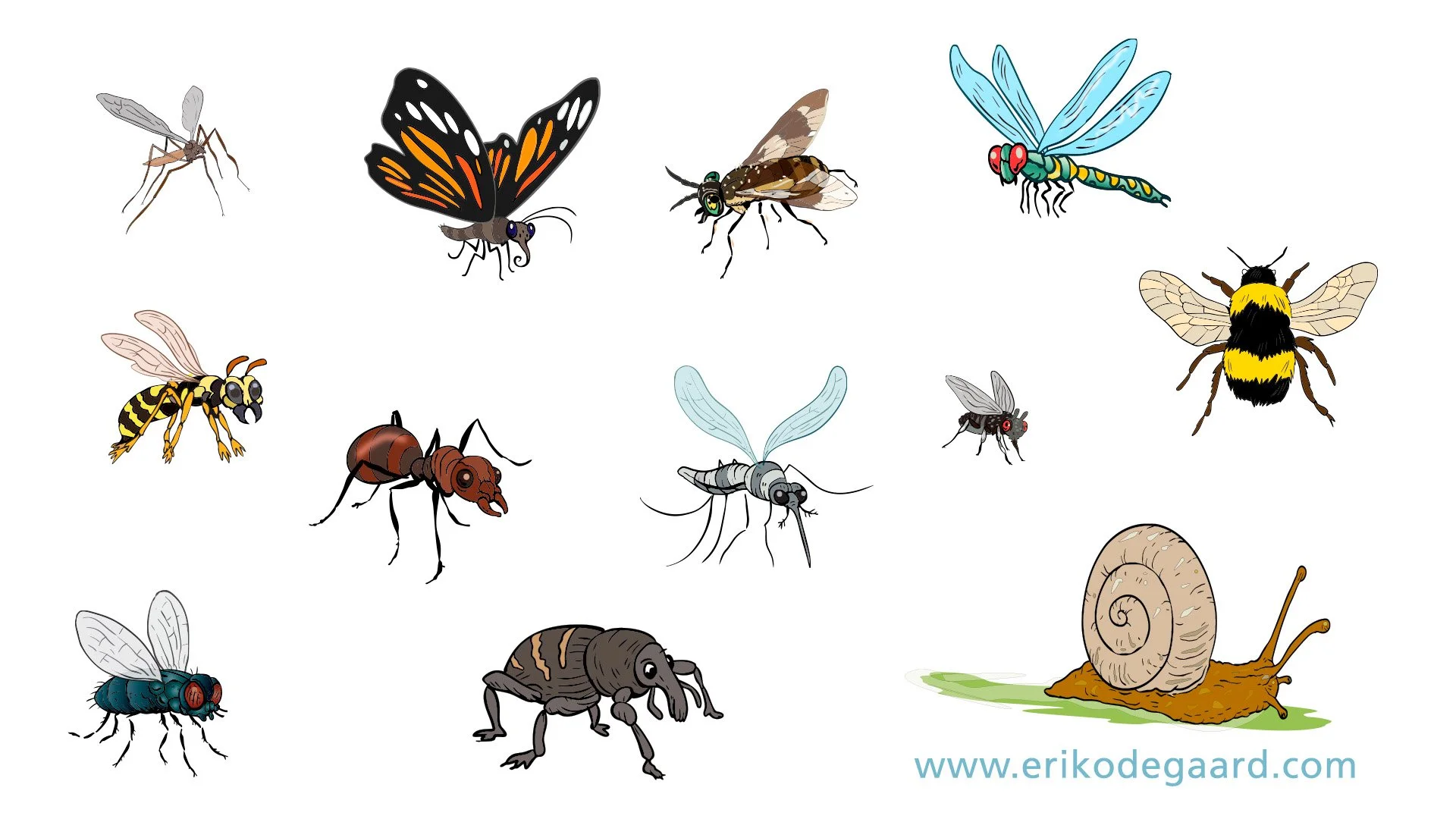 insekter_01.jpg