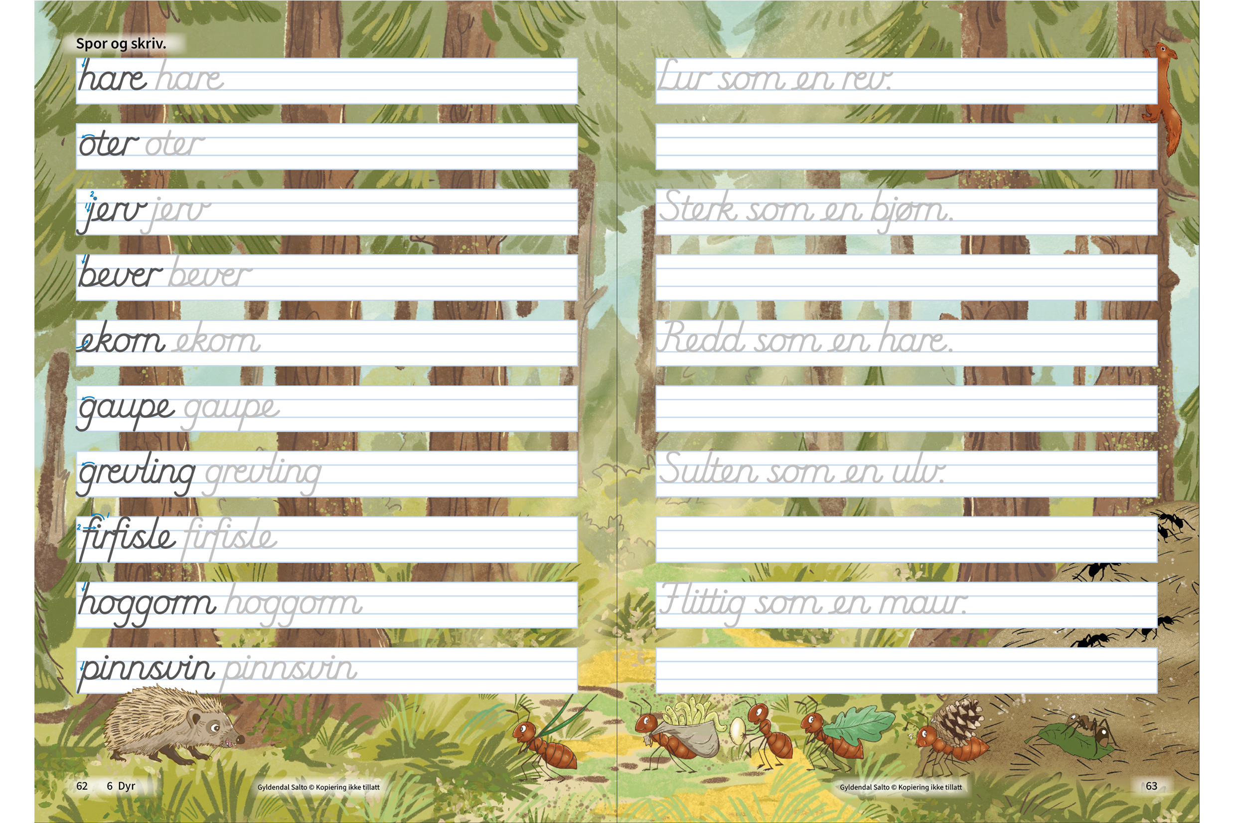 Format Squarespace Basta - Cec stavskrift oppsl 4.png