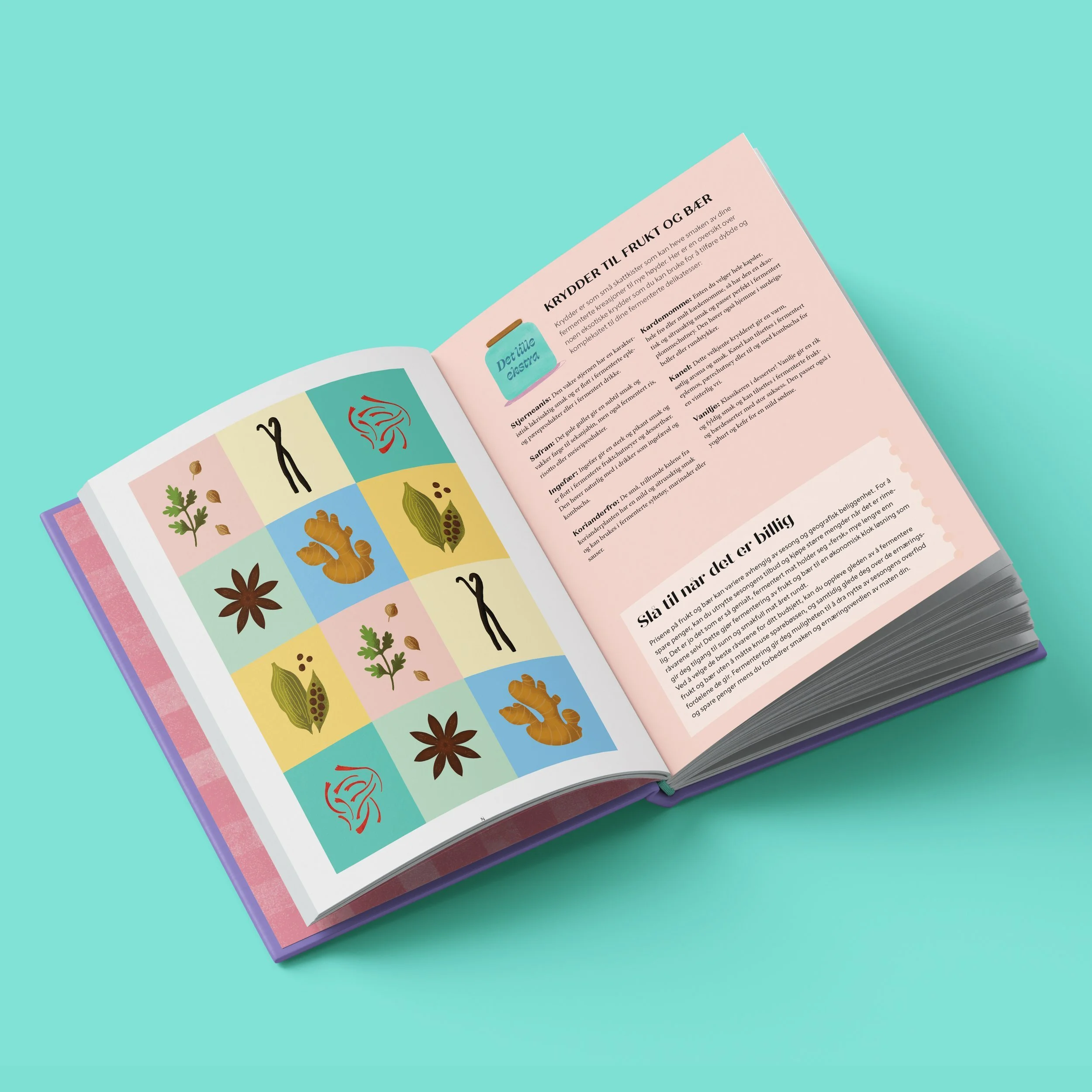 Kokebokkonsept: Fermenteringsmagi
Innmat til kokebok om fermentering av frukt og bær. Ikke utgitt.
Illustrasjon, typografi og layout
Foto (granola): Joan McEwan / Unsplash