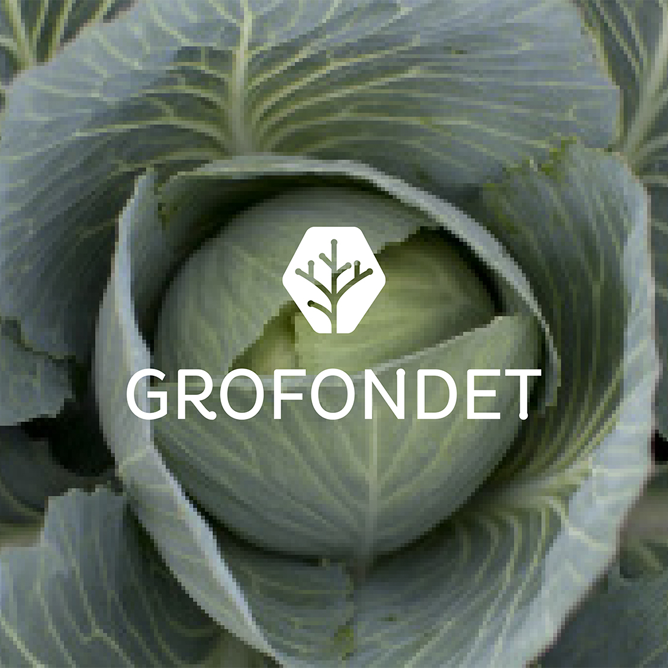 Grofondet
Finansieringsordning for norsk frukt-, bær-, grønnsaks- og potetnæring
Identitet, profil, nettside.