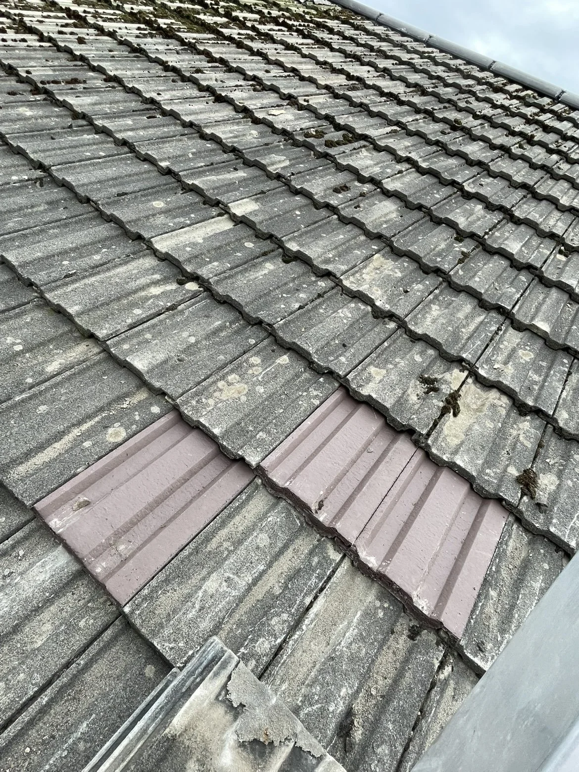 Close-up view of a roof with weathered and moss-covered gray shingles and one contrasting pink shingle, with a gutter visible at the top edge.