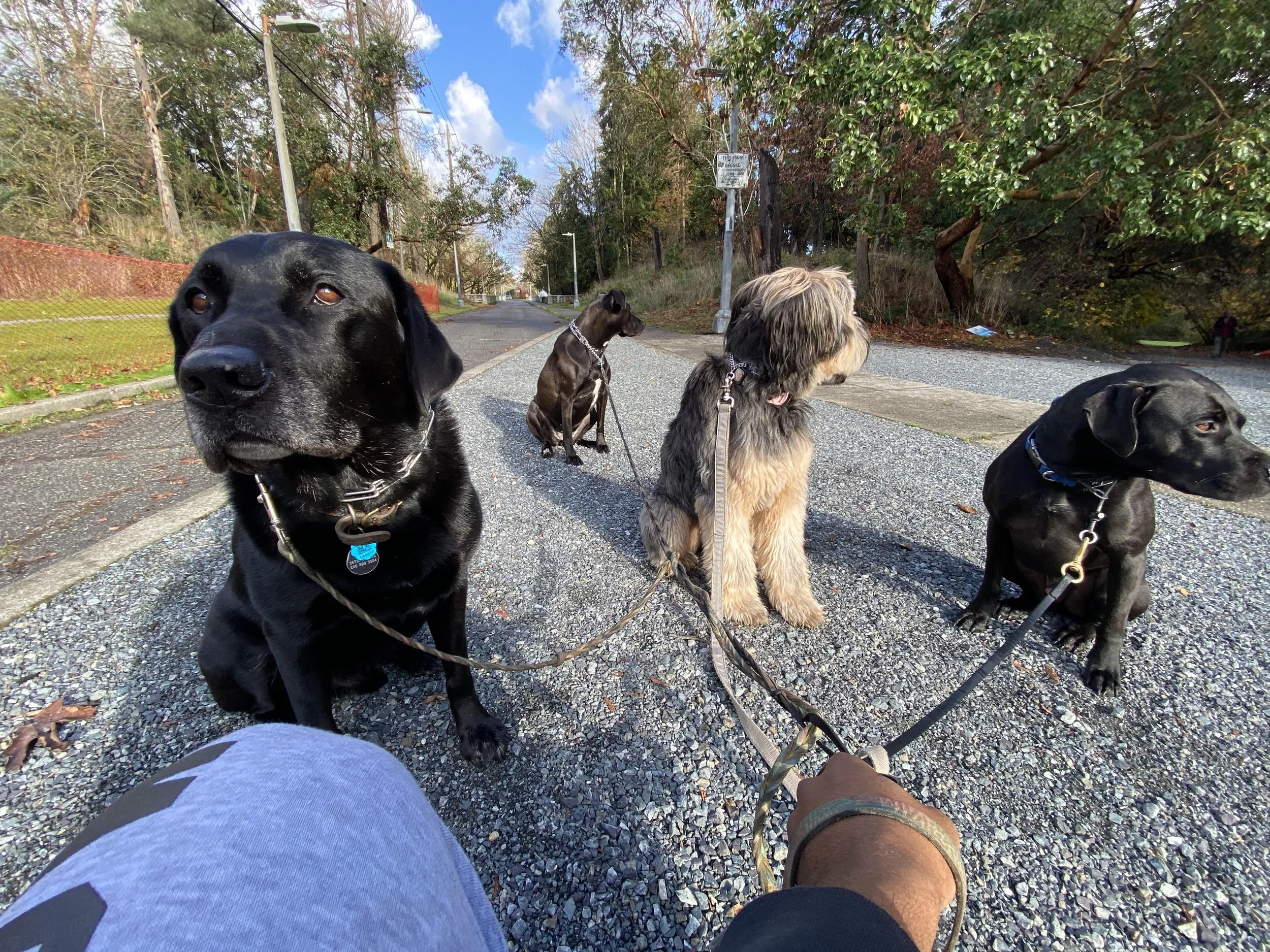 Walks