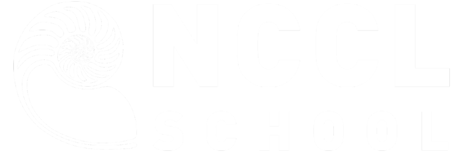 NCCL School