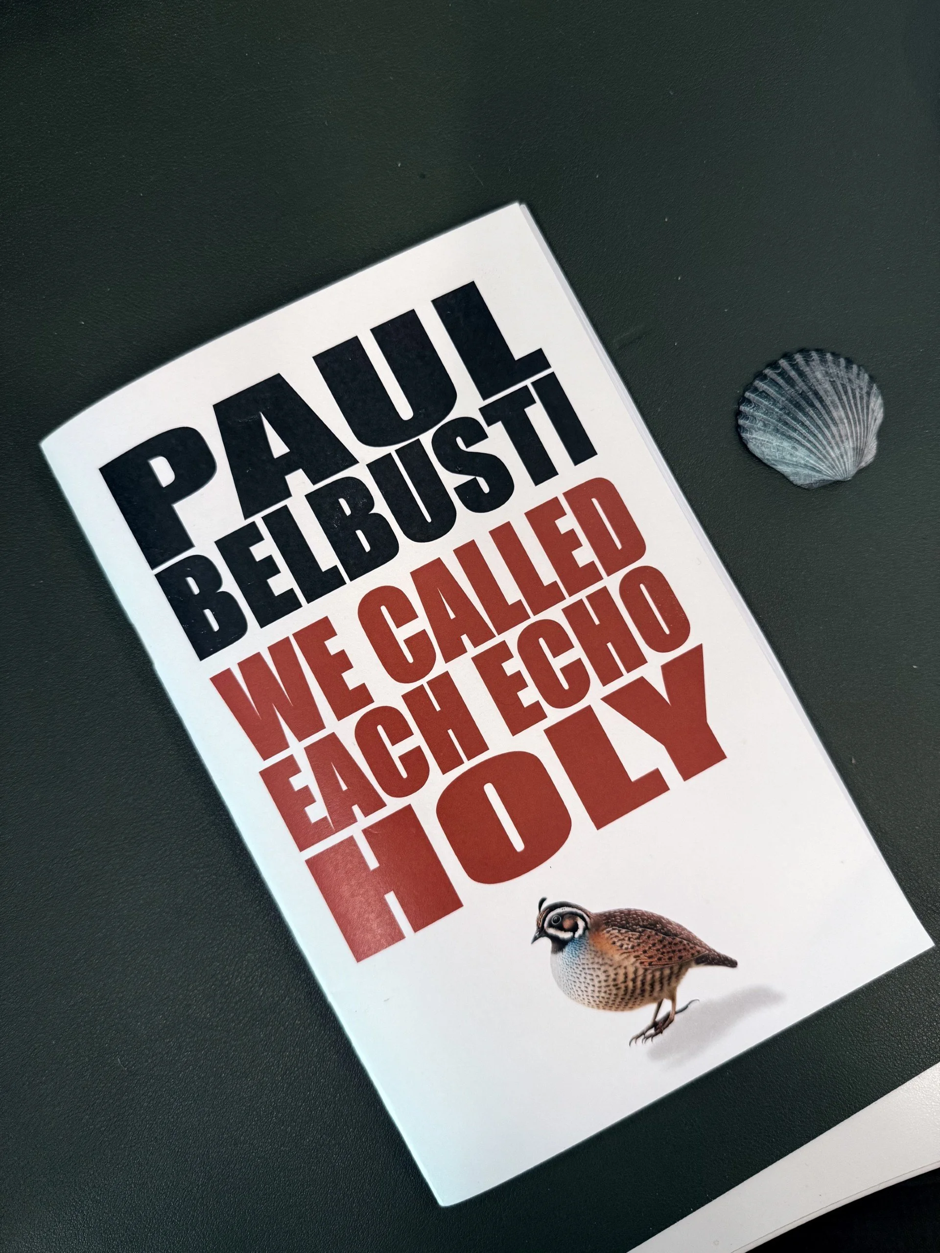 We Called Every Echo Holy Chapbook by Paul Belbusti
