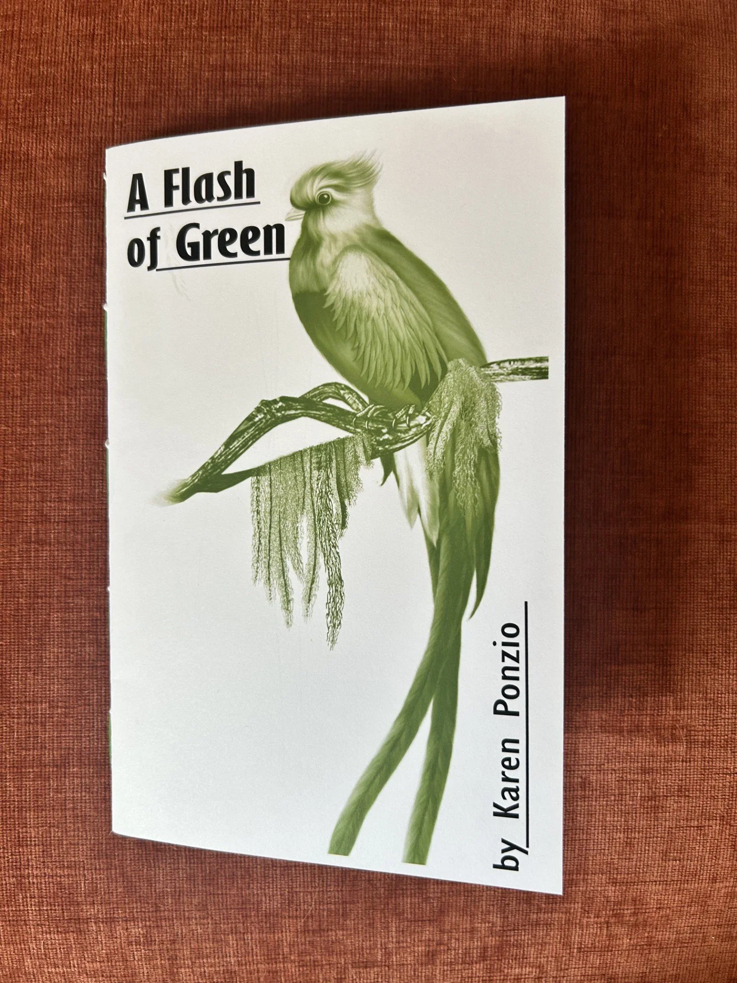 A Flash of Green Chapbook by Karen Ponzio
