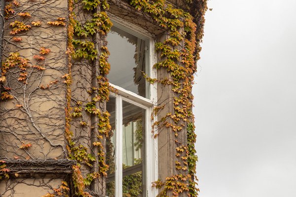 Unlock your first home with a Lifetime ISA