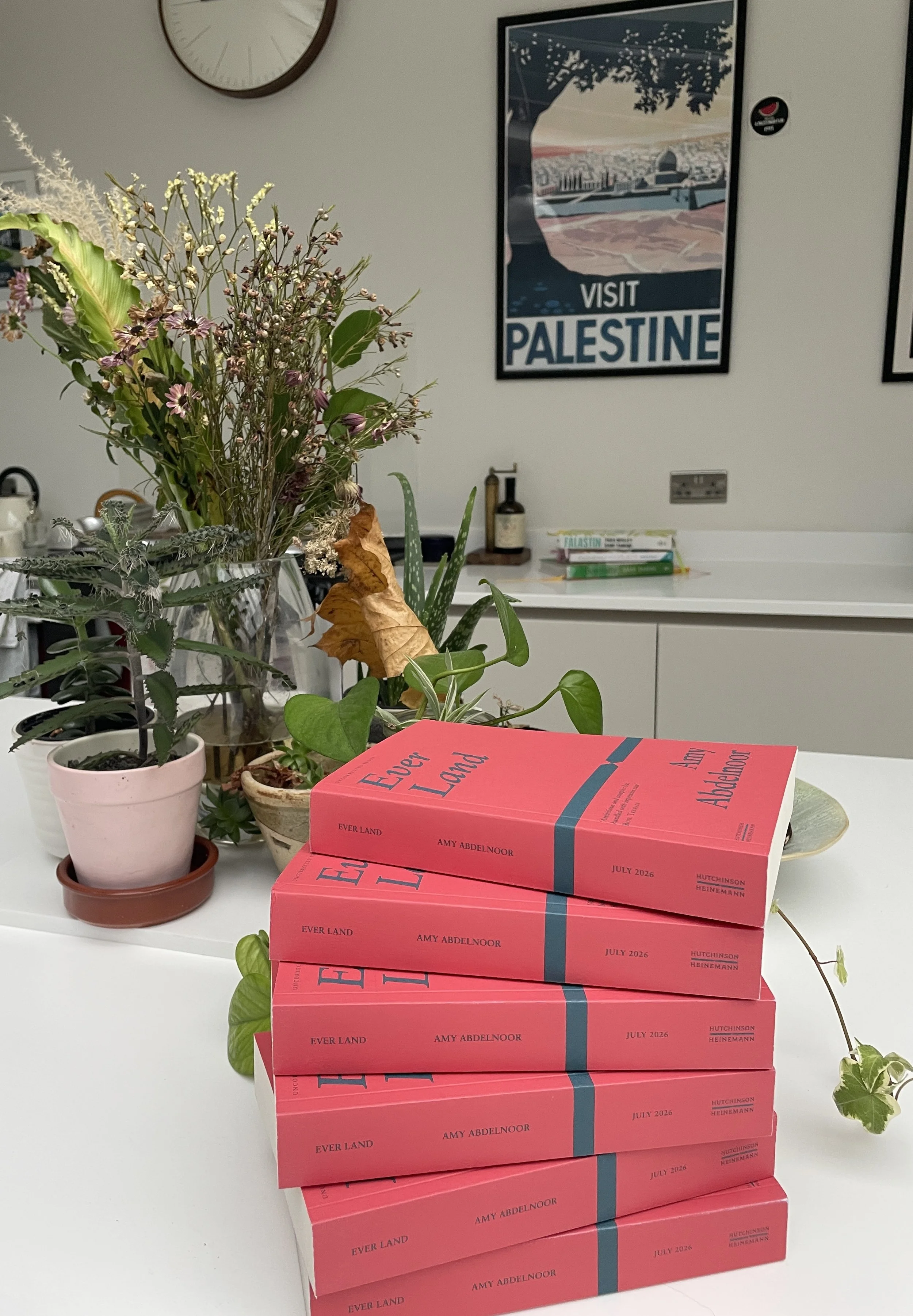 Everland by Amy Abdelnoor - debut novel about Palestine, belonging and memory, publishing 2026