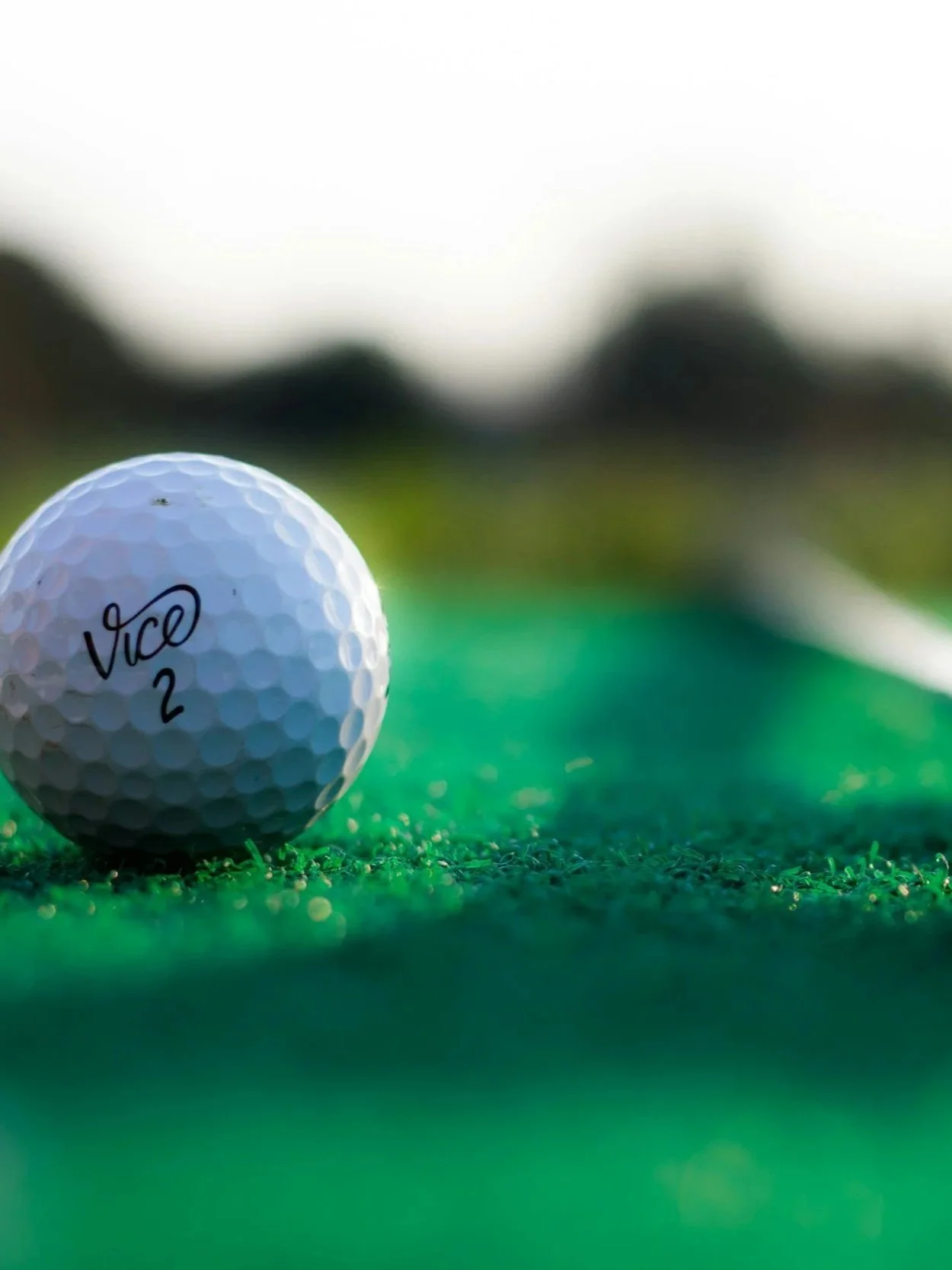 Close-up of a white golf ball labeled 'Vice 2' on a green putting surface during daytime.