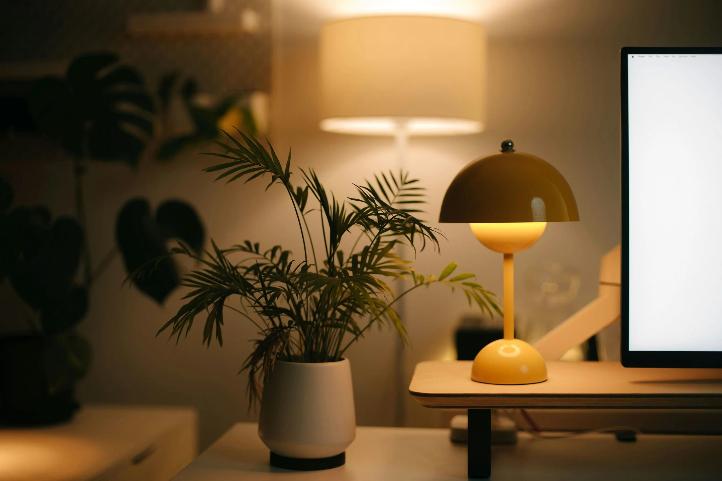 A yellow desk lamp with a round base on a wooden table next to a potted plant with green leaves, in a softly lit room.