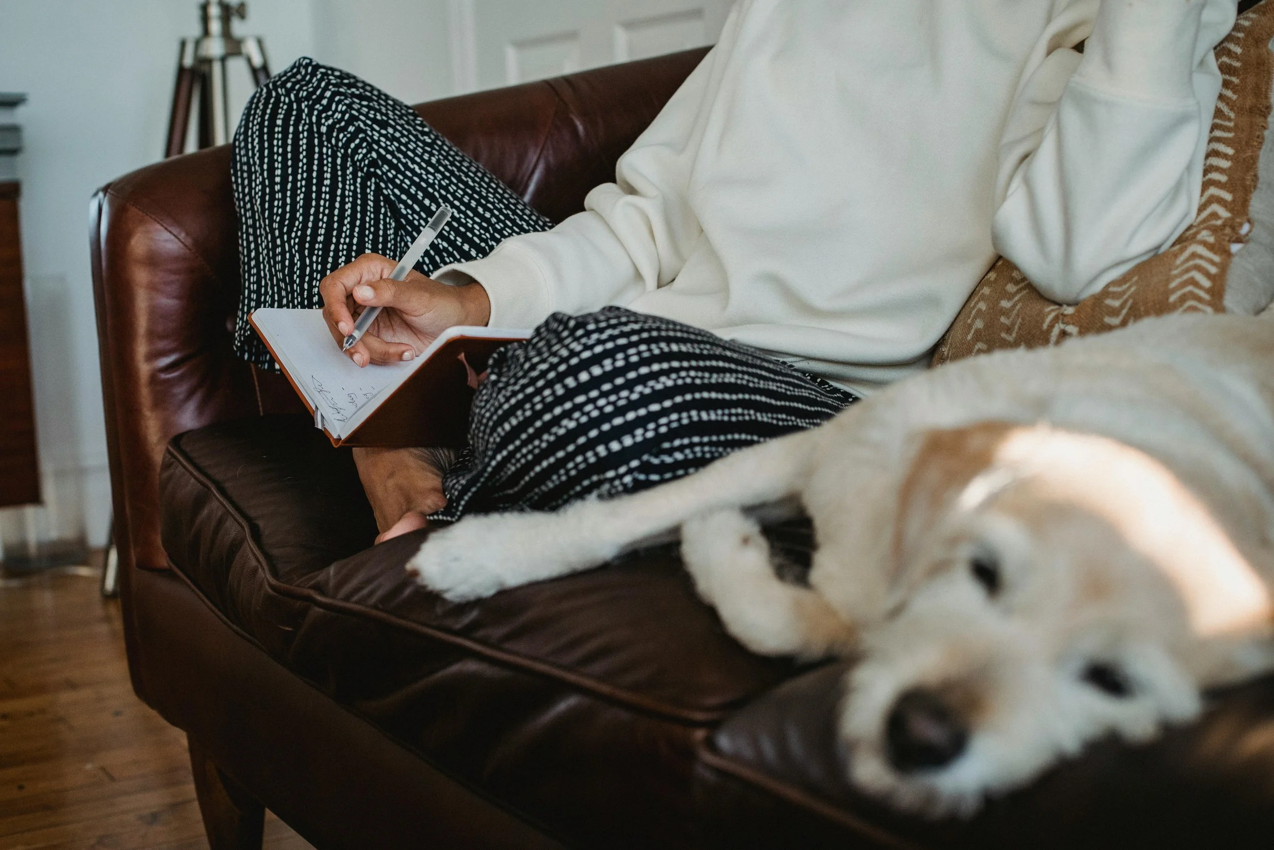 Person sitting on a leather couch, writing in a small notebook, with a dog lying on the couch partially visible in the foreground.
