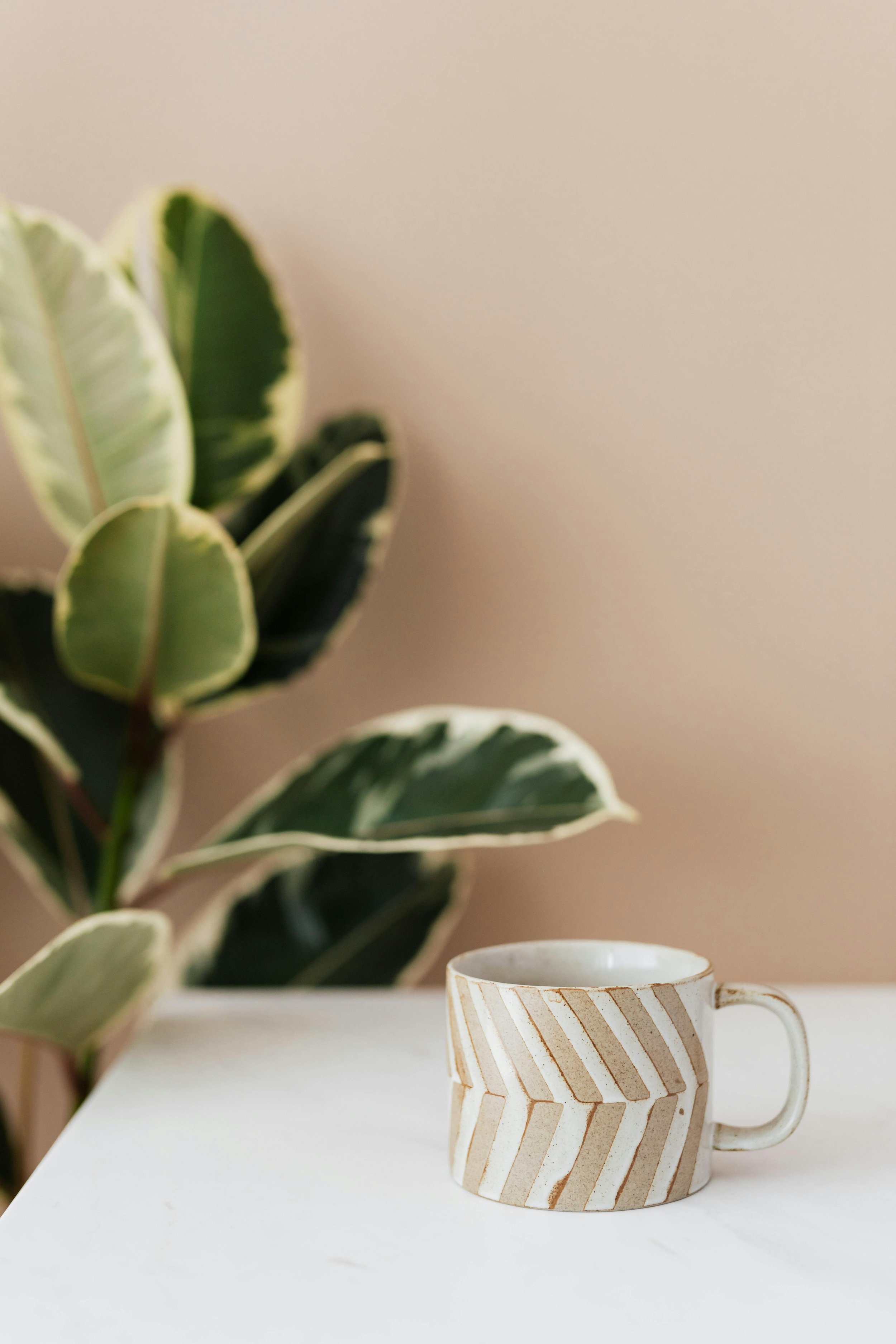 A ceramic mug with a beige and brown striped geometric pattern on a white surface, with a large green leafy plant with variegated leaves in the background.
