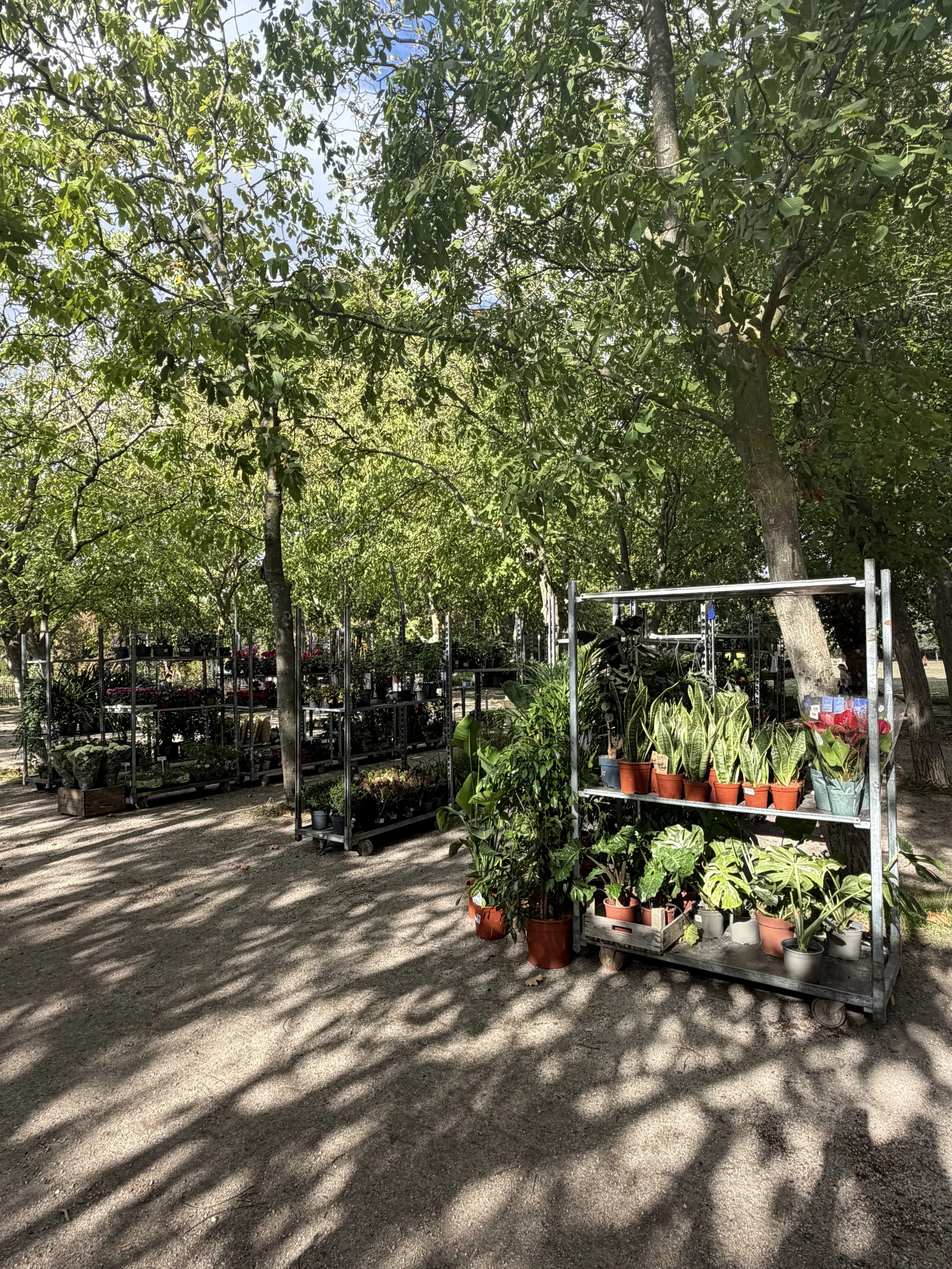 Outdoor garden center with potted plants on metal carts, shaded by trees.