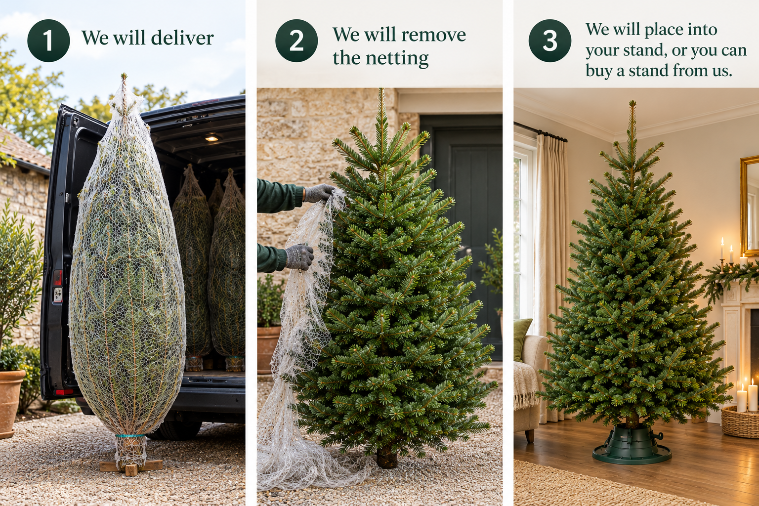 Christmas Tree Delivery to Setup.png