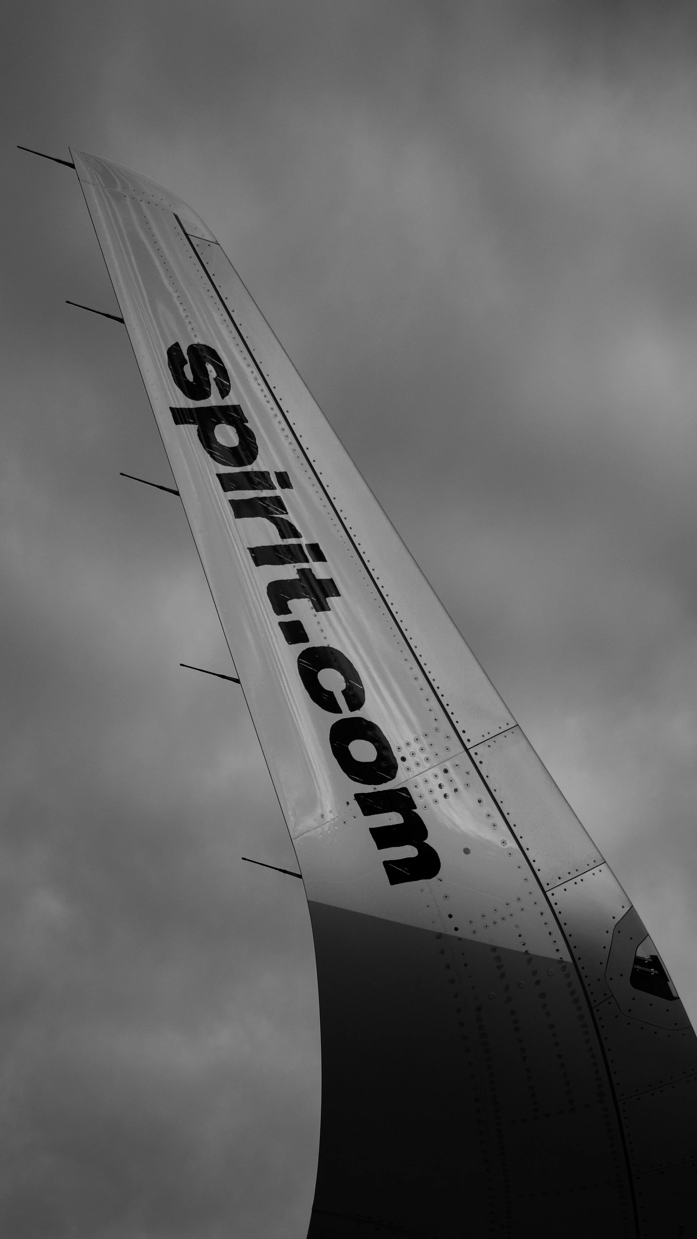 DSC_9922.jpeg