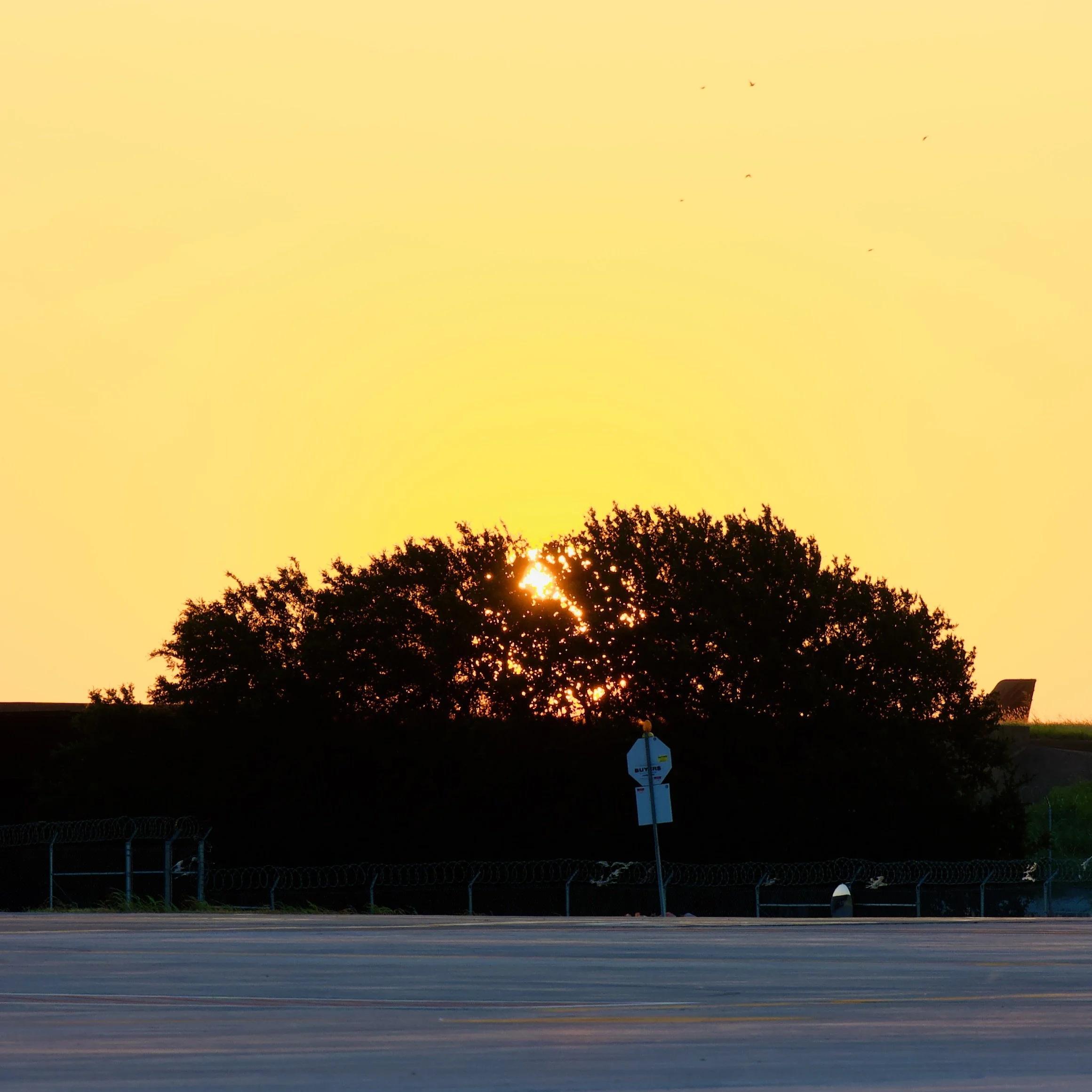 DSC_7648.jpeg