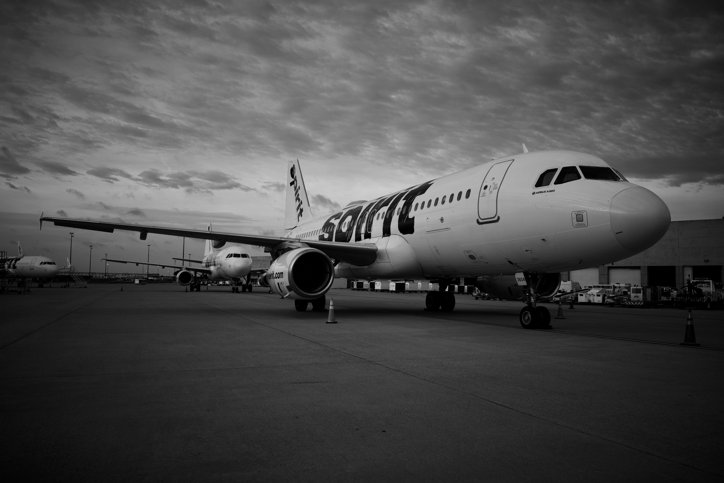 DSC_9902.jpeg