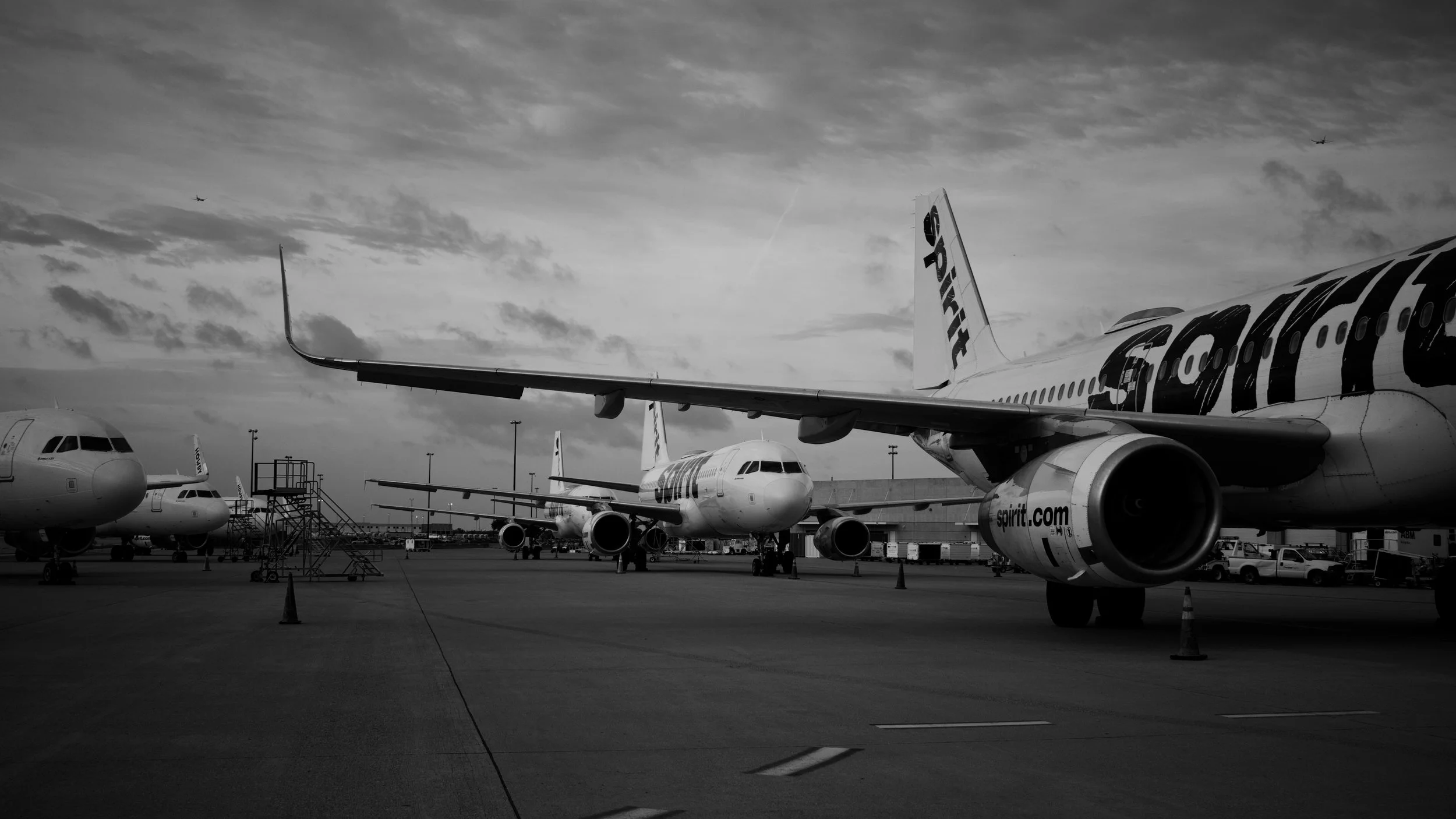 DSC_9959.jpeg