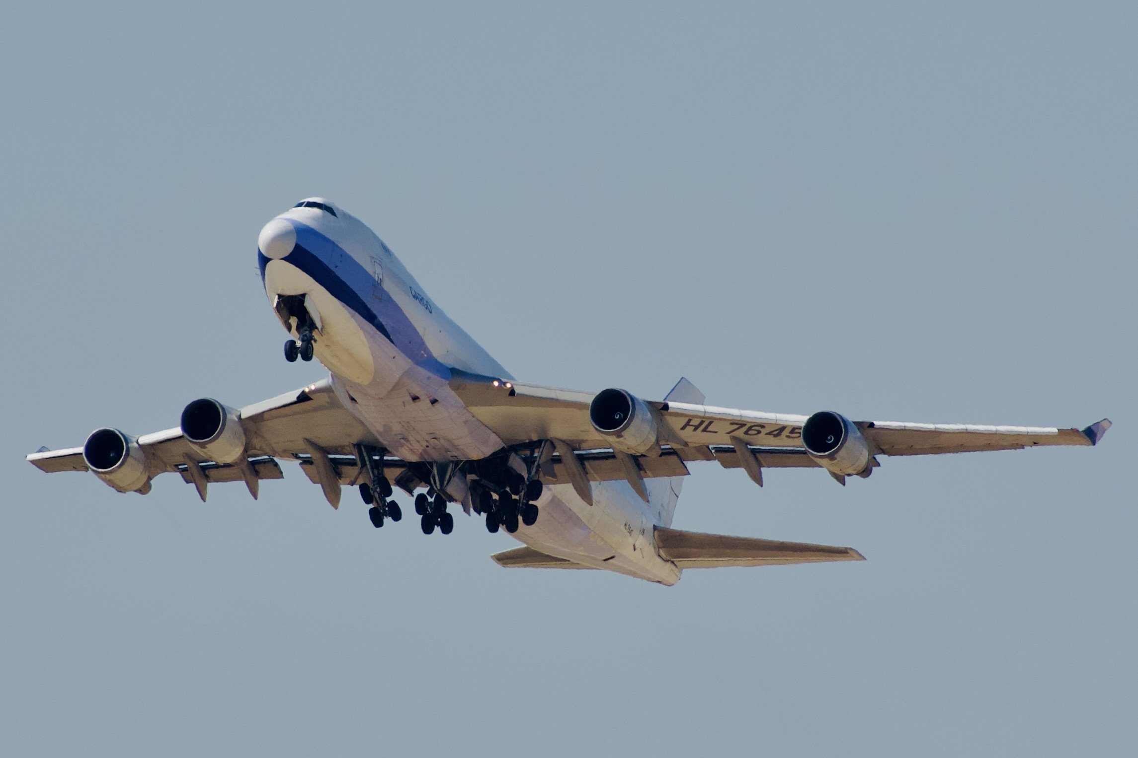 DSC_6273.jpeg