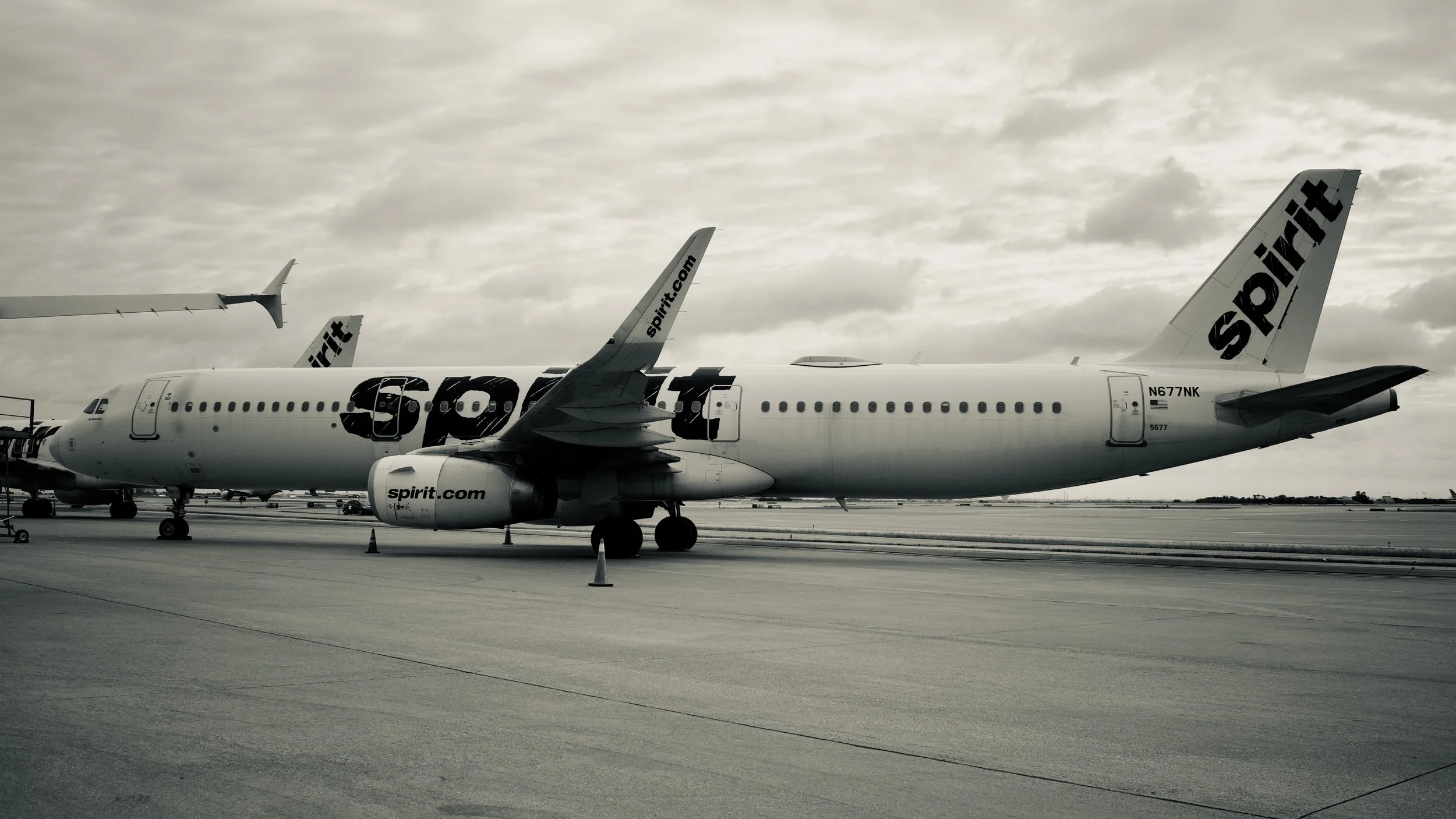 DSC_9995.jpeg