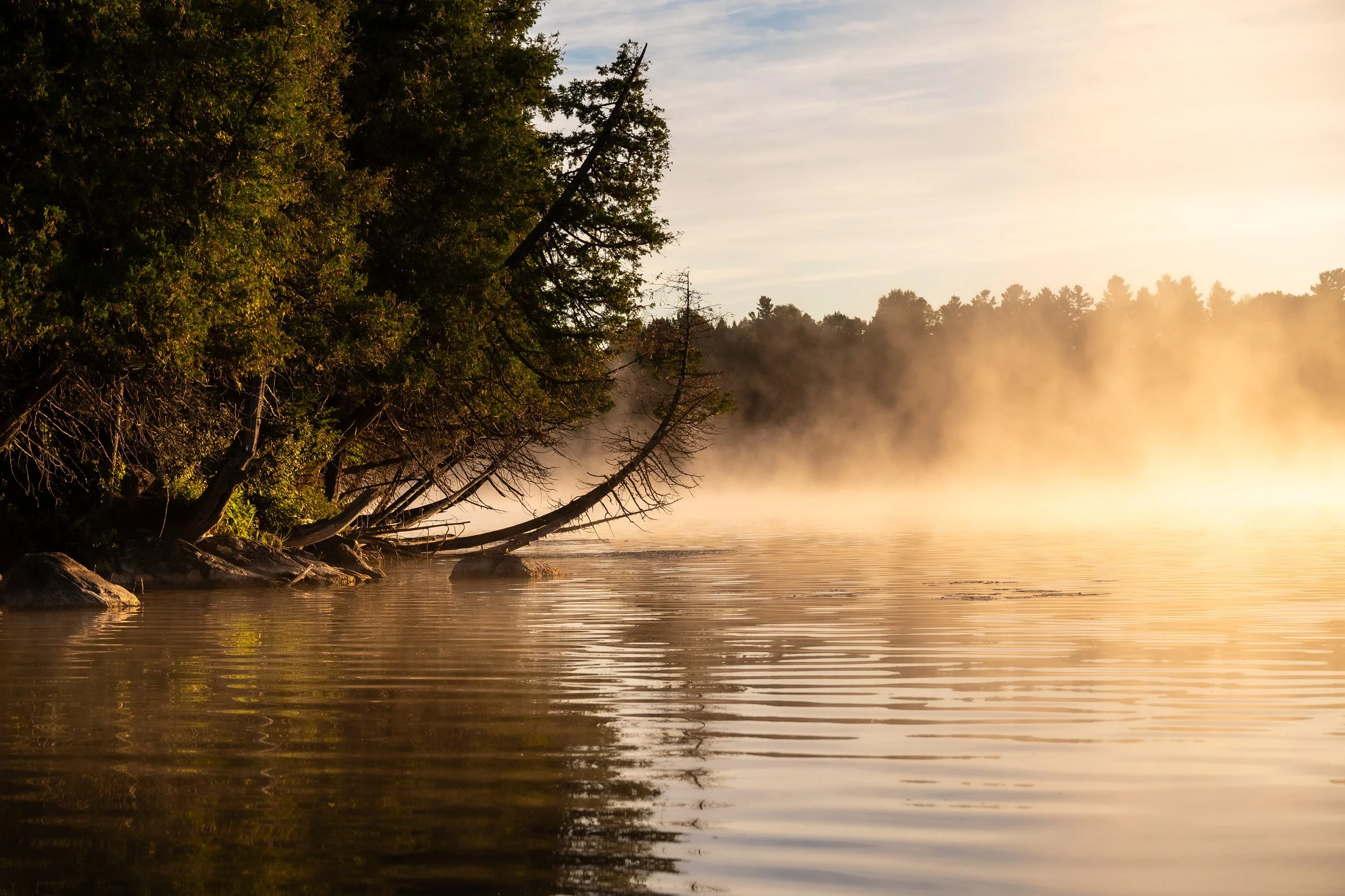 Lake mist in sunset.jpg