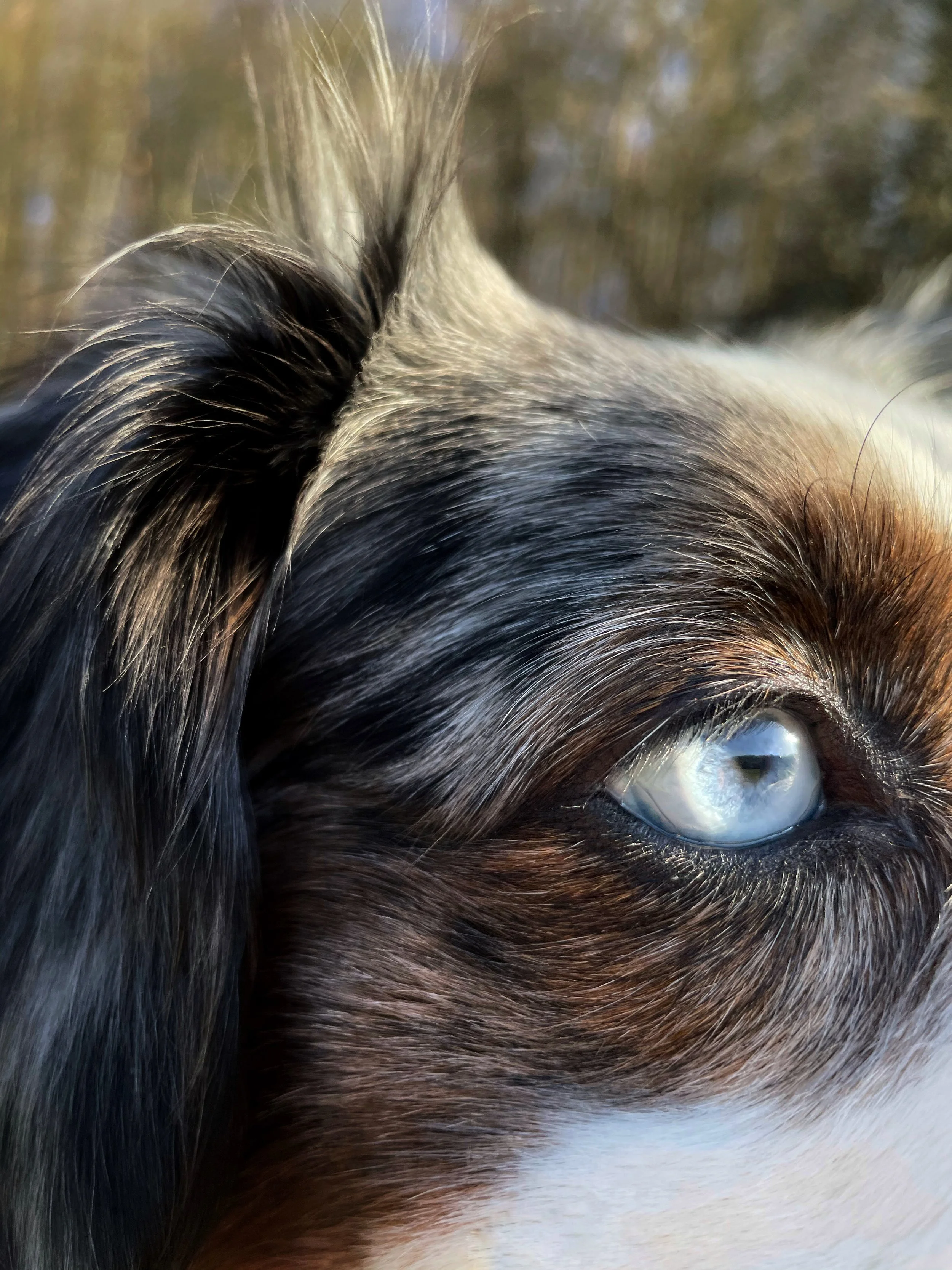 Akte Erstbericht - Kennenlernen