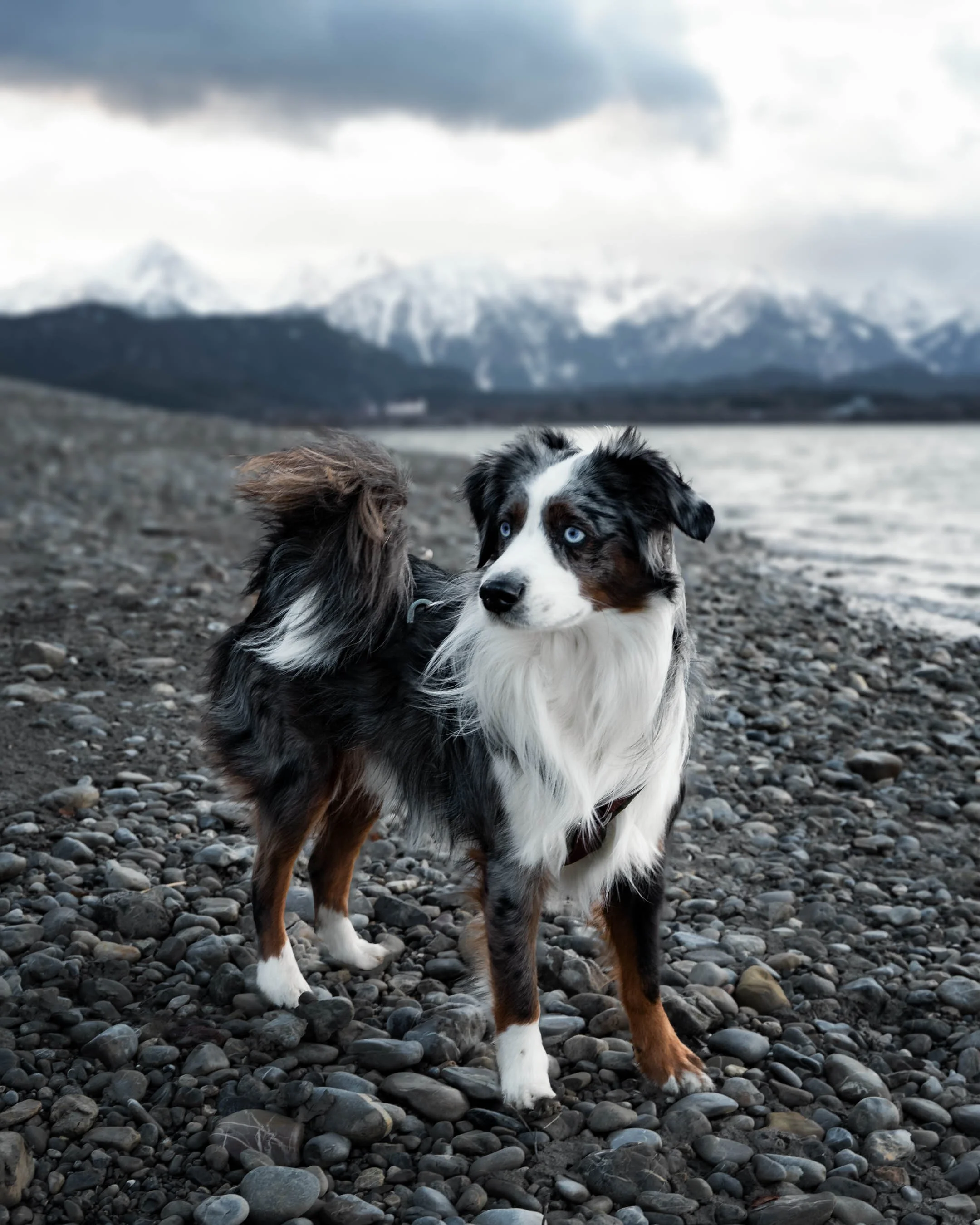 Der große Fall - 6 Wochen Begleitung