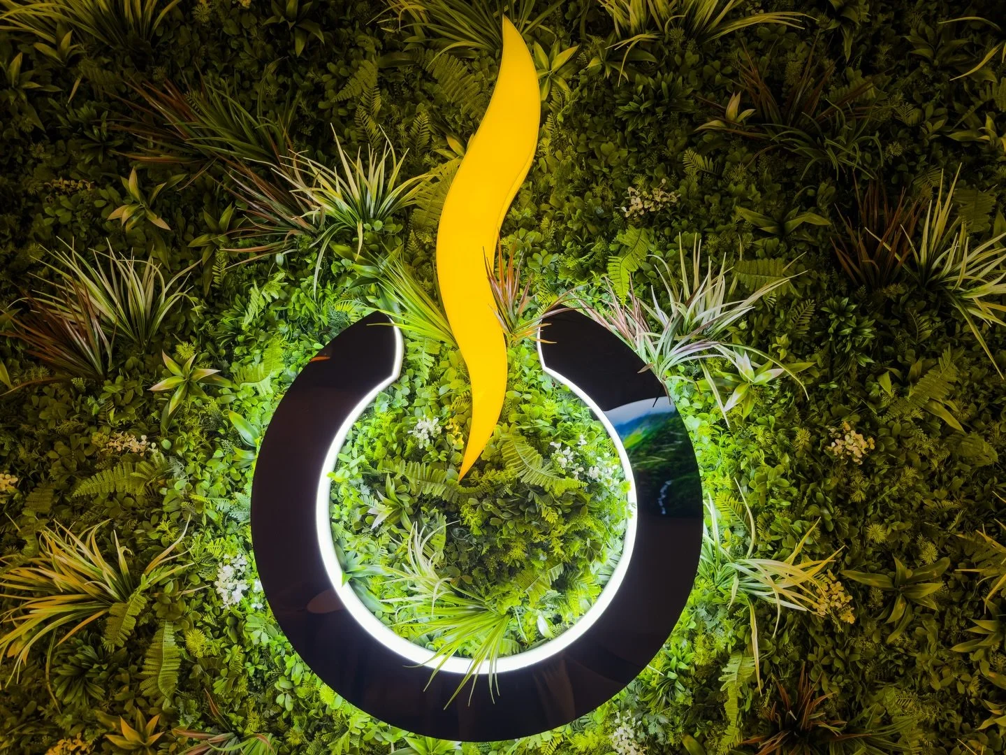 Ugasi sve.
Ostavi ono &scaron;to znači.

#offcafenis #nis #visitnis #urbanvibes #placetobe