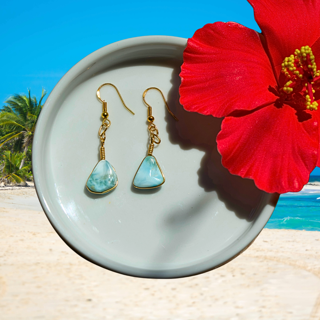 Larimar Gemstone Earrings
