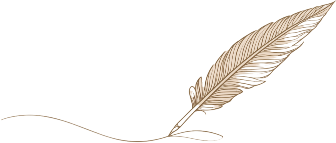 Illustrated feather representing personalised romantic storytelling