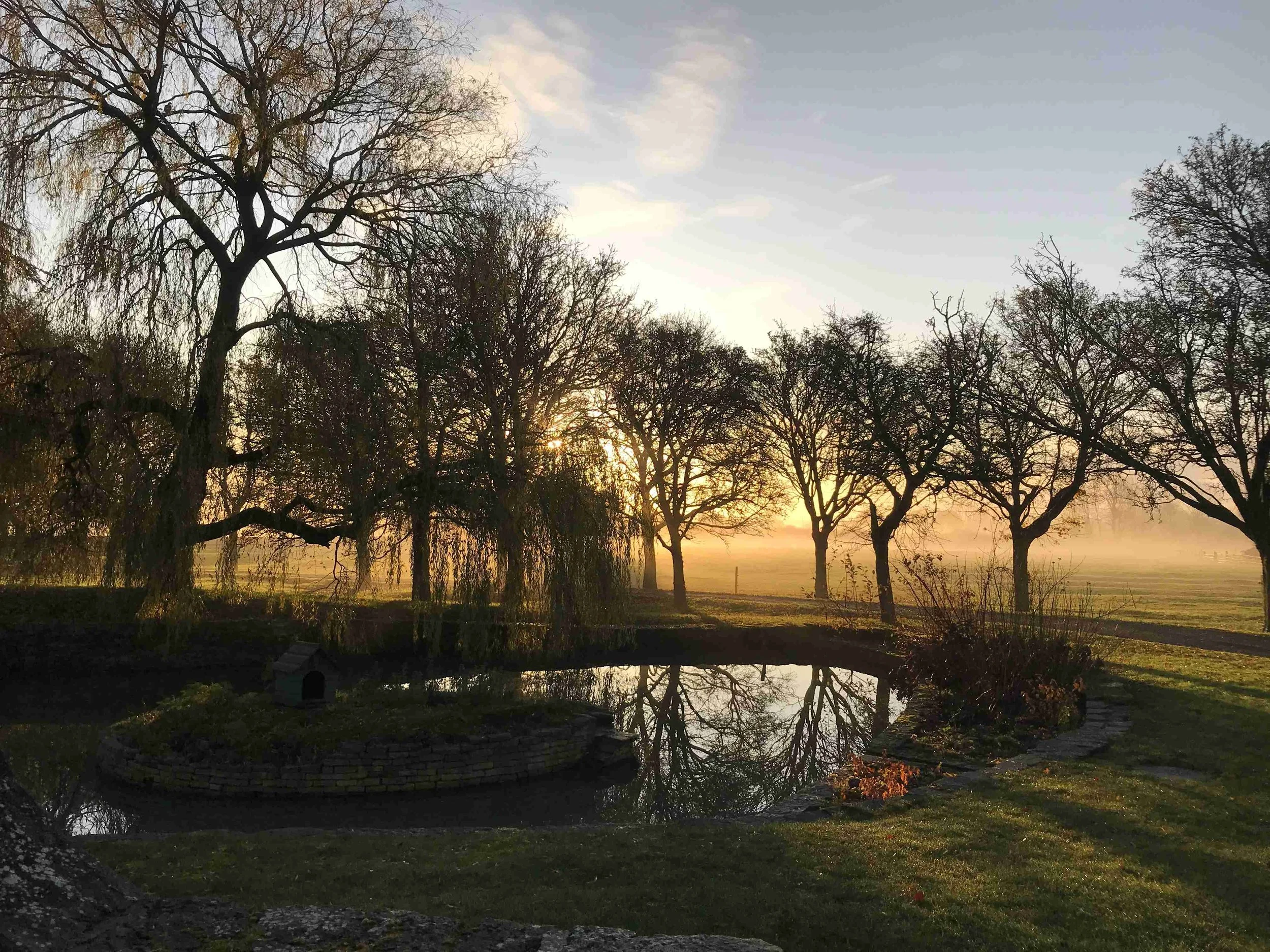 Sunset over a small pond surrounded by leafless trees and a brick border, with the sky displaying soft clouds.