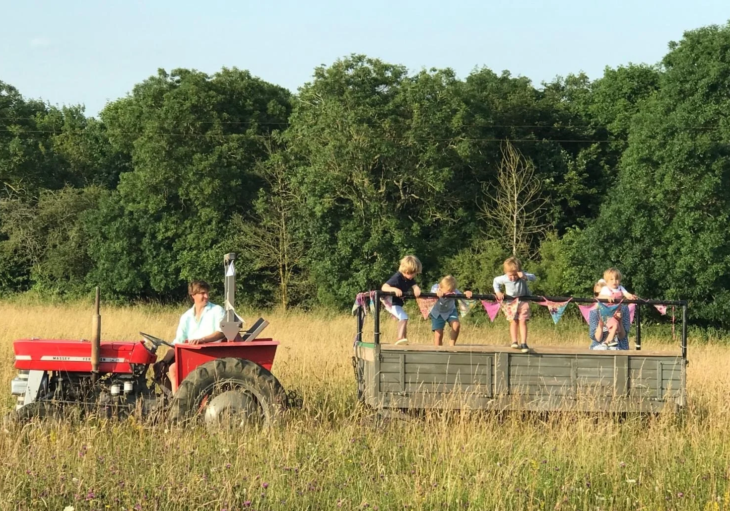 A person driving a red tractor pulling a trailer with five children in a field of tall grass, with trees in the background.