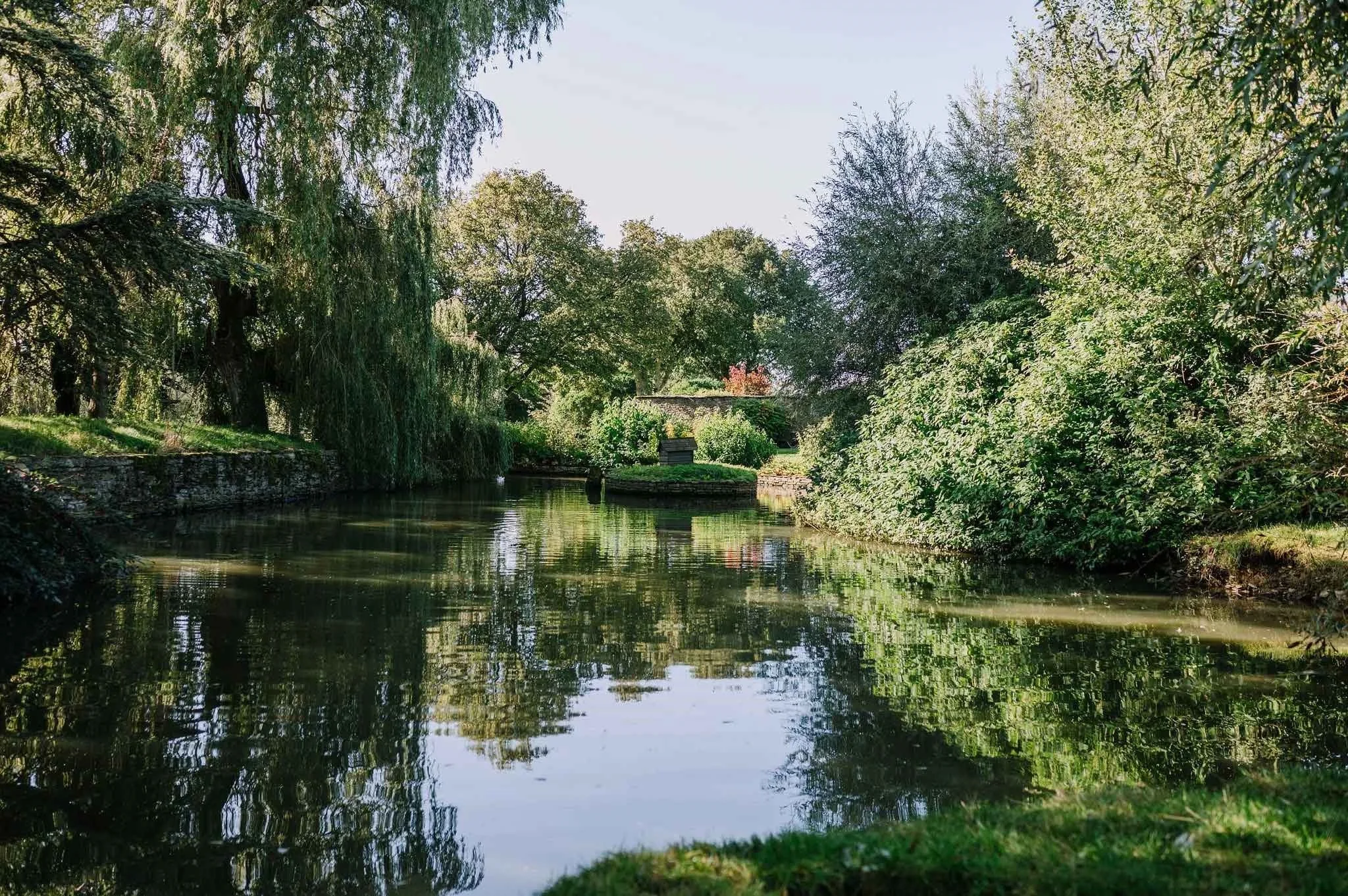summer pond.jpg