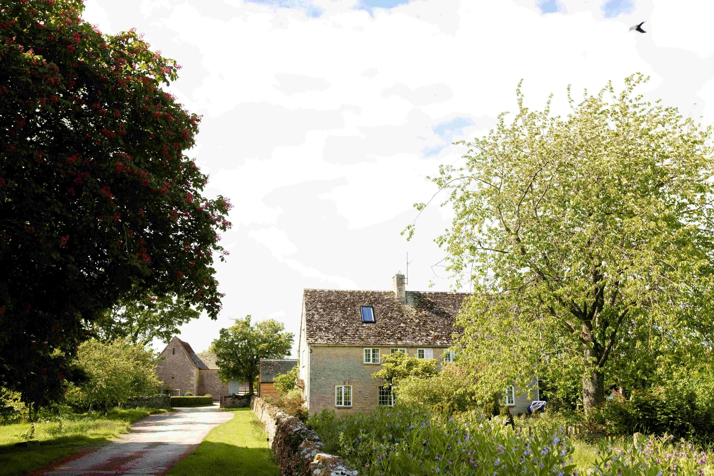 A picturesque scene in a small village with a stone house, lush green trees, flower garden, and a pathway.
