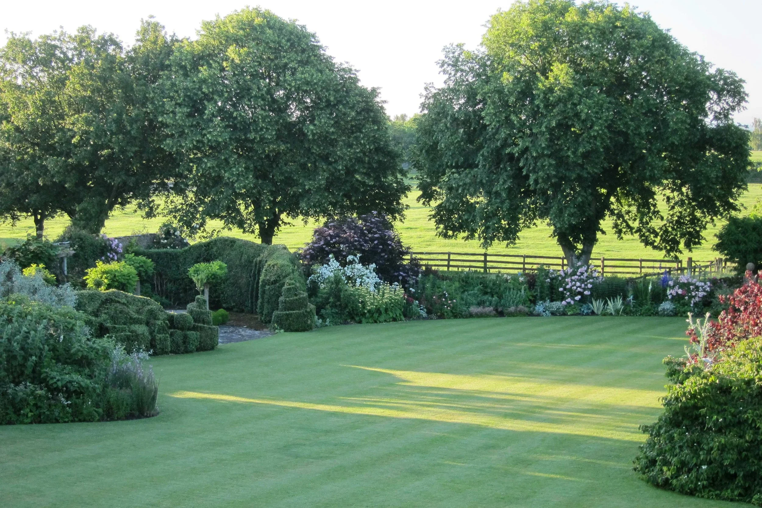A lush green garden with manicured lawn, flowering bushes, and large trees, bordered by a wooden fence, under a clear sky.