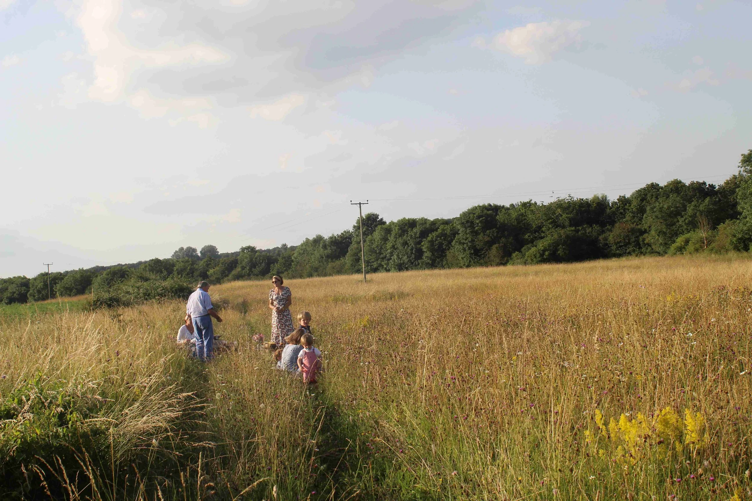Group of people, including children and adults, standing and sitting in a grassy field with tall grass and wildflowers, under a partly cloudy sky with some trees and power lines in the background.