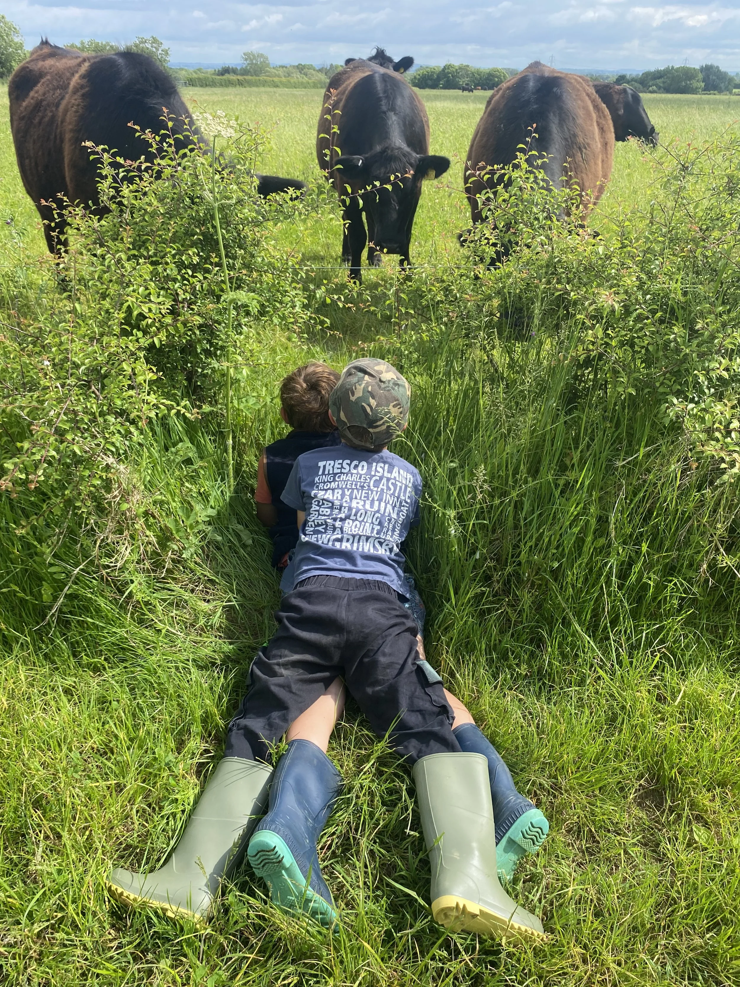 Two children lying in tall grass with rain boots, facing a fence where three cows are grazing in a green field, under a cloudy sky.