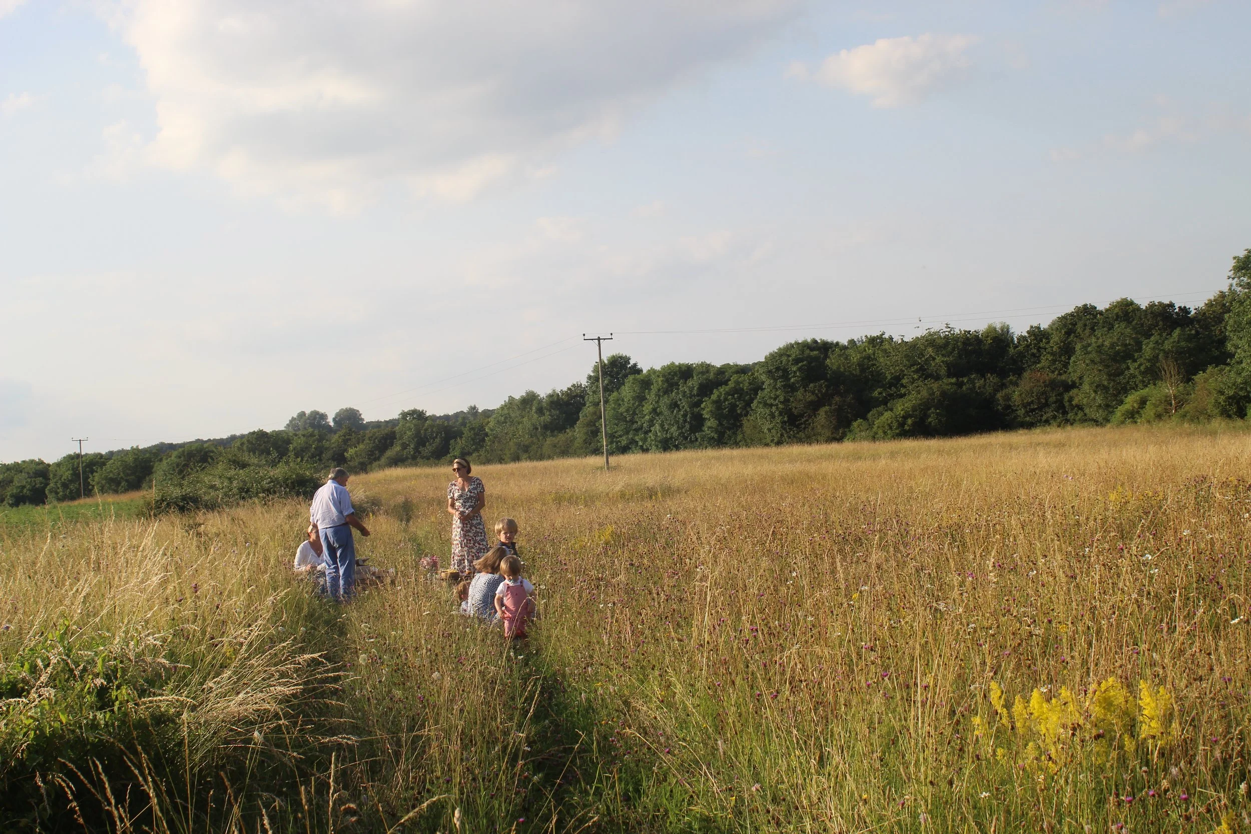 A group of people, including children and adults, gathering in a grassy field with tall wildflowers, with trees and utility poles in the background under a partly cloudy sky.