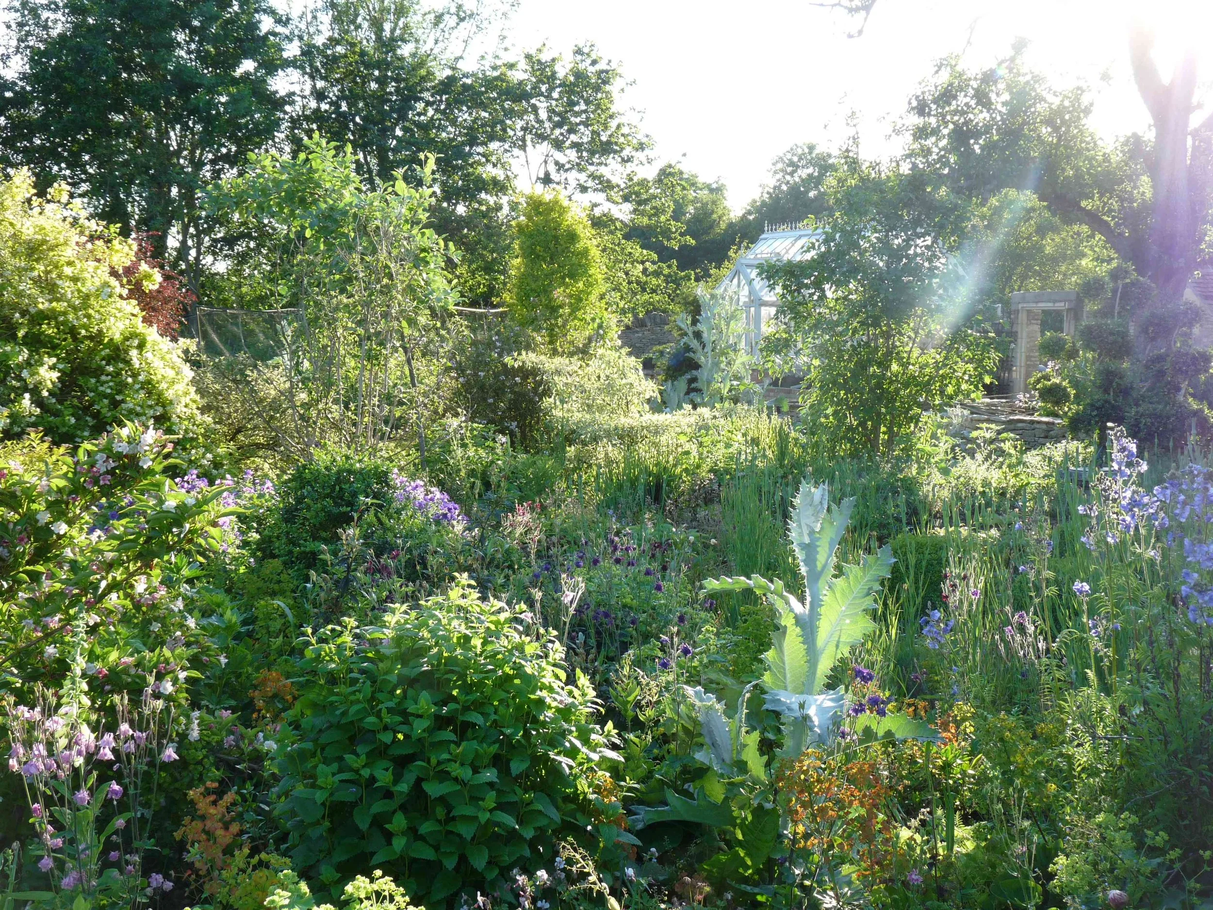 A lush garden with various green plants, flowers, and trees. There is a greenhouse structure among the foliage, and sunlight creates a bright, glowing effect with lens flare.