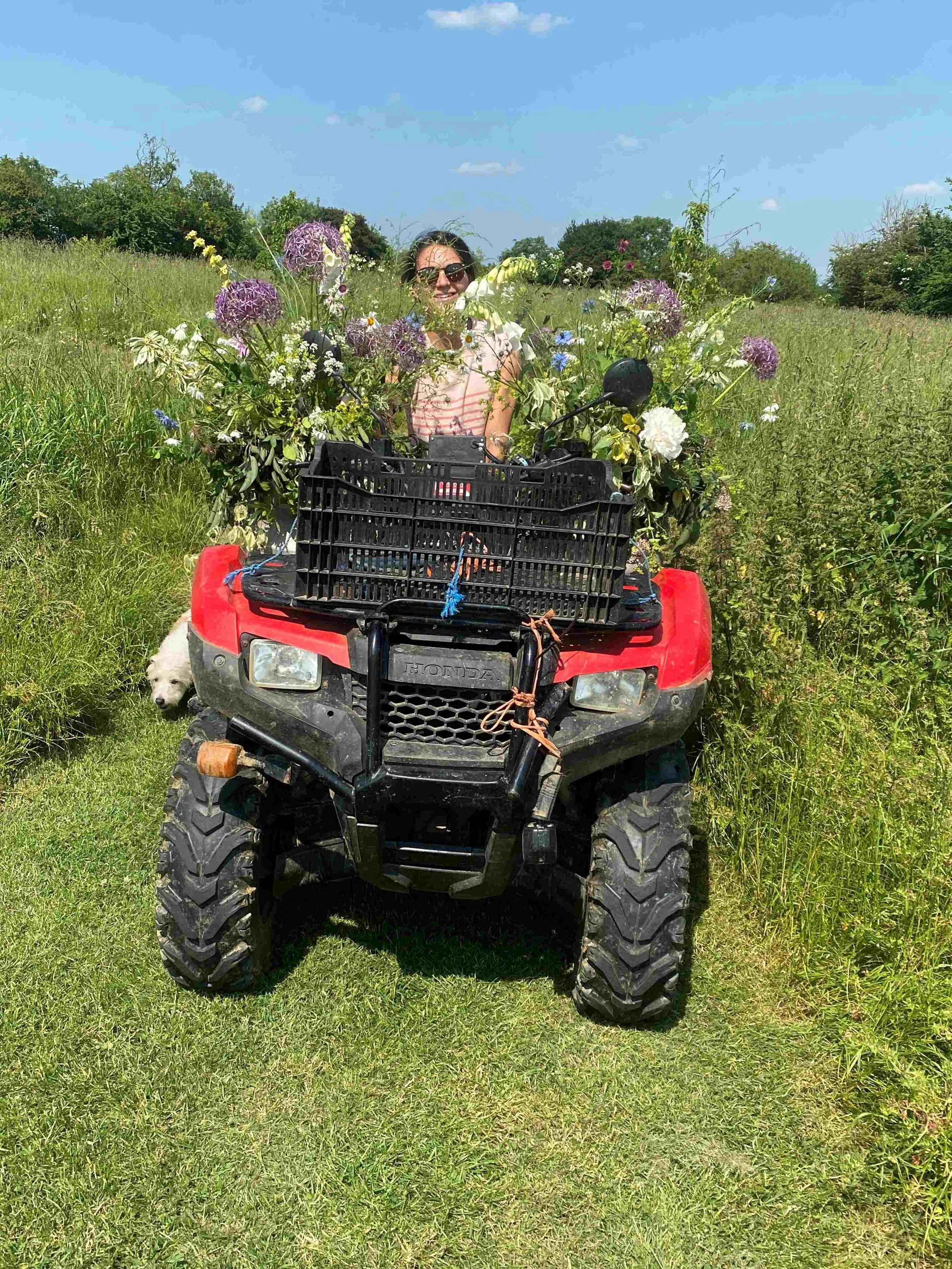 A person with sunglasses smiling while sitting on a red all-terrain vehicle (ATV) decorated with an abundance of colorful flowers and greenery, in a grassy field under a blue sky with scattered clouds.