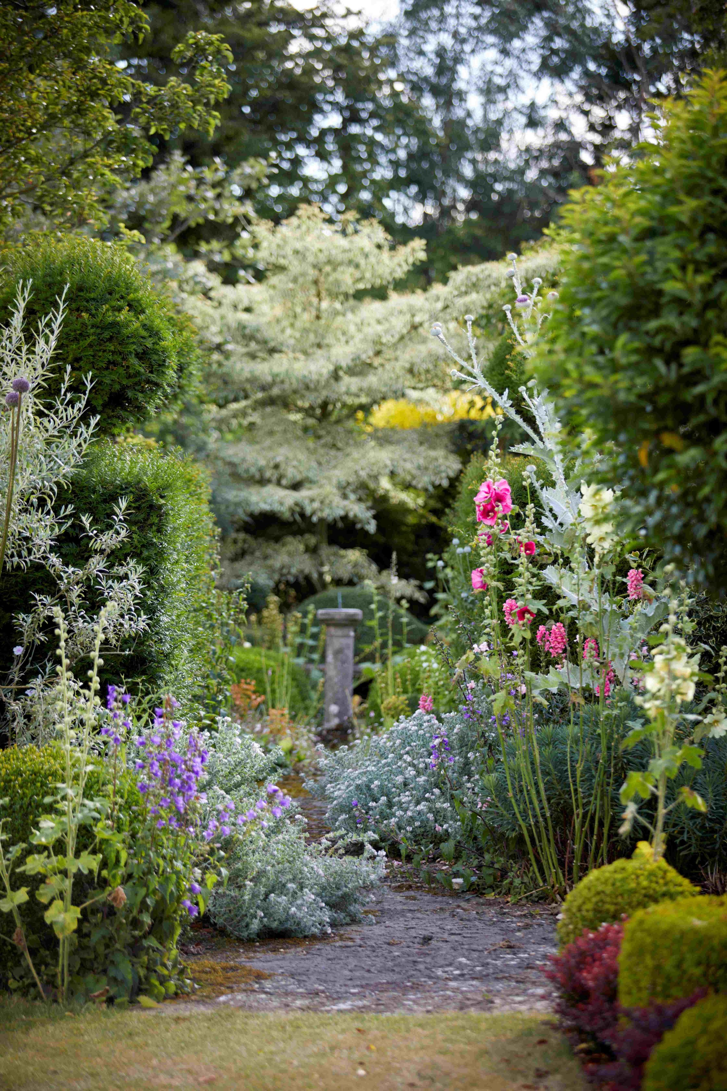 A garden pathway surrounded by various colorful flowering plants and green shrubbery, with trees in the background.