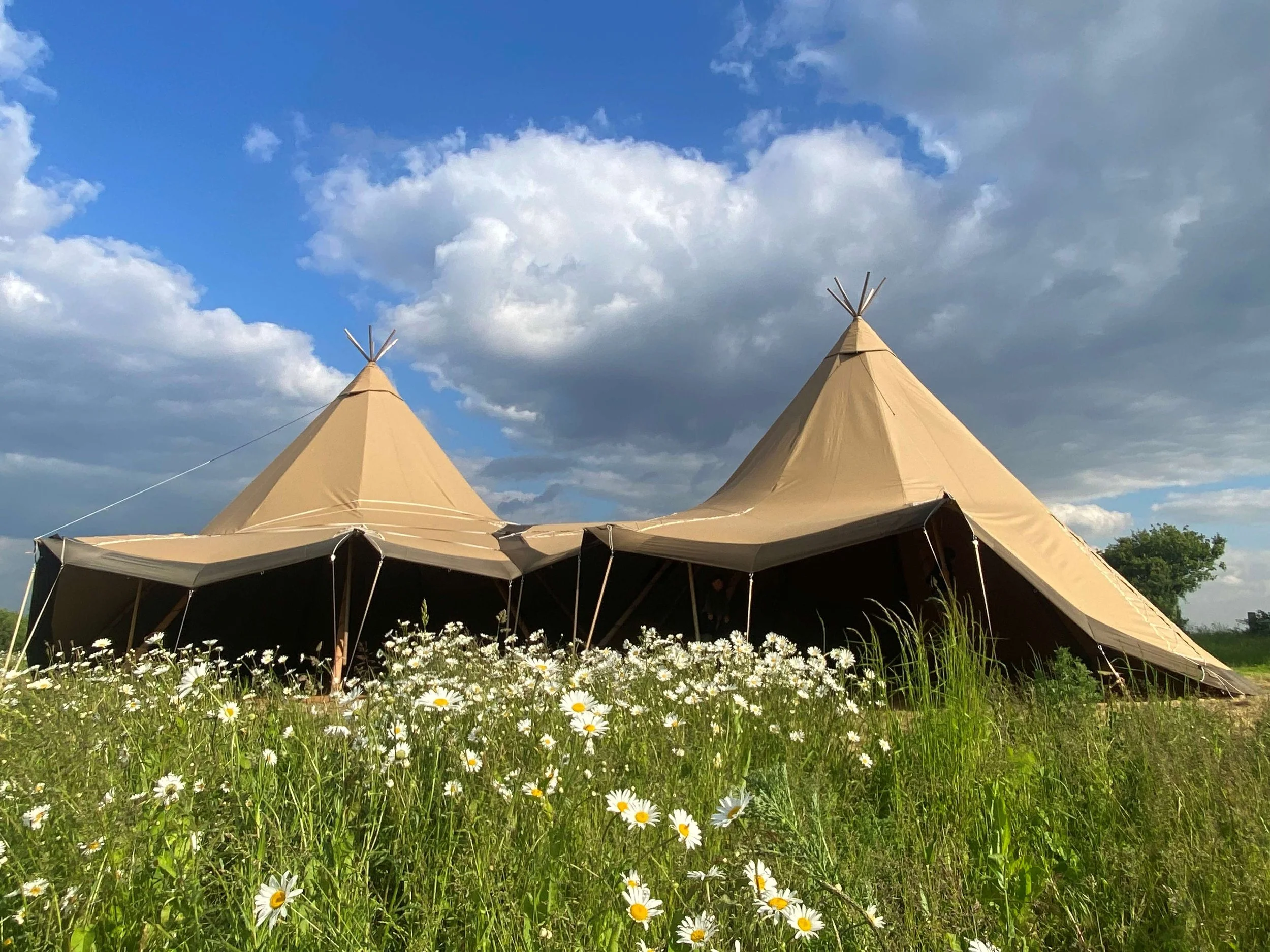Two beige tipis set up outdoors in a grassy area with daisies, under a partly cloudy sky