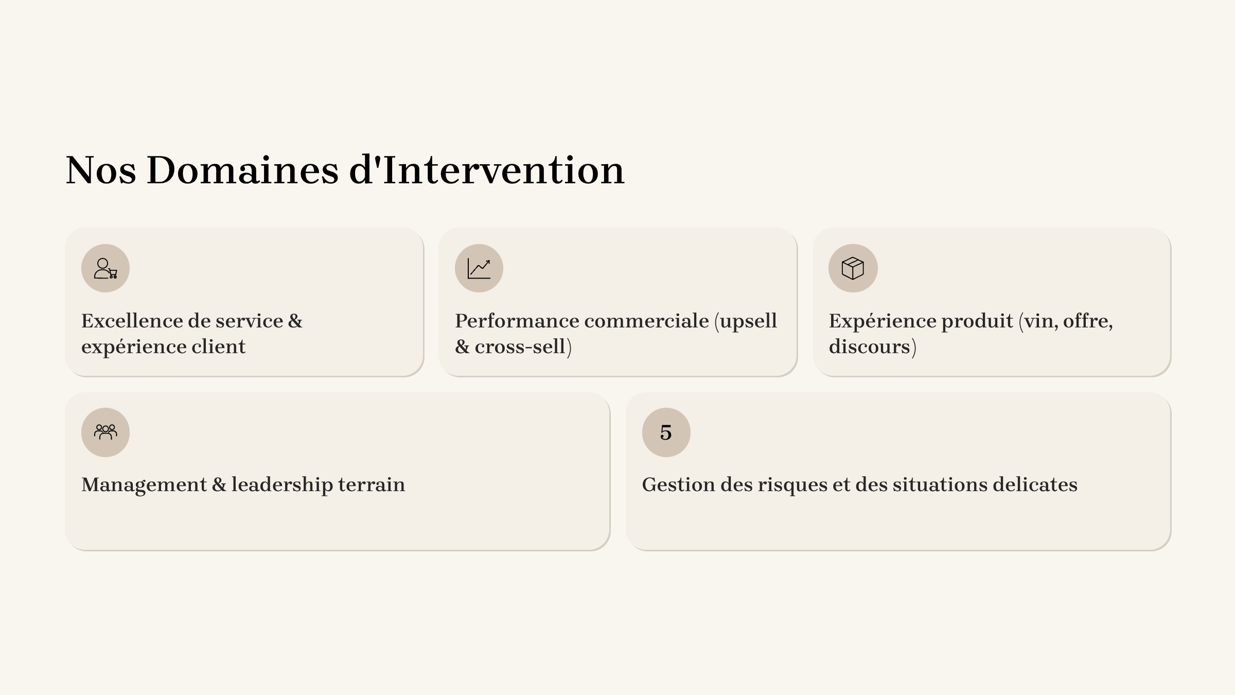Capture d'écran d'une section intitulée "Nos Domaines d'Intervention" avec diverses cases phares décrivant des domaines d'expertise tels que l'excellence du service client, la performance commerciale, l'expérience produit, la gestion et la gestion des risques.