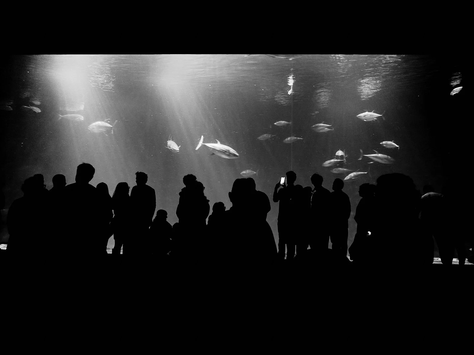 2024.Monterey_SantaCruz_©CyrilPerregaux.047.jpg