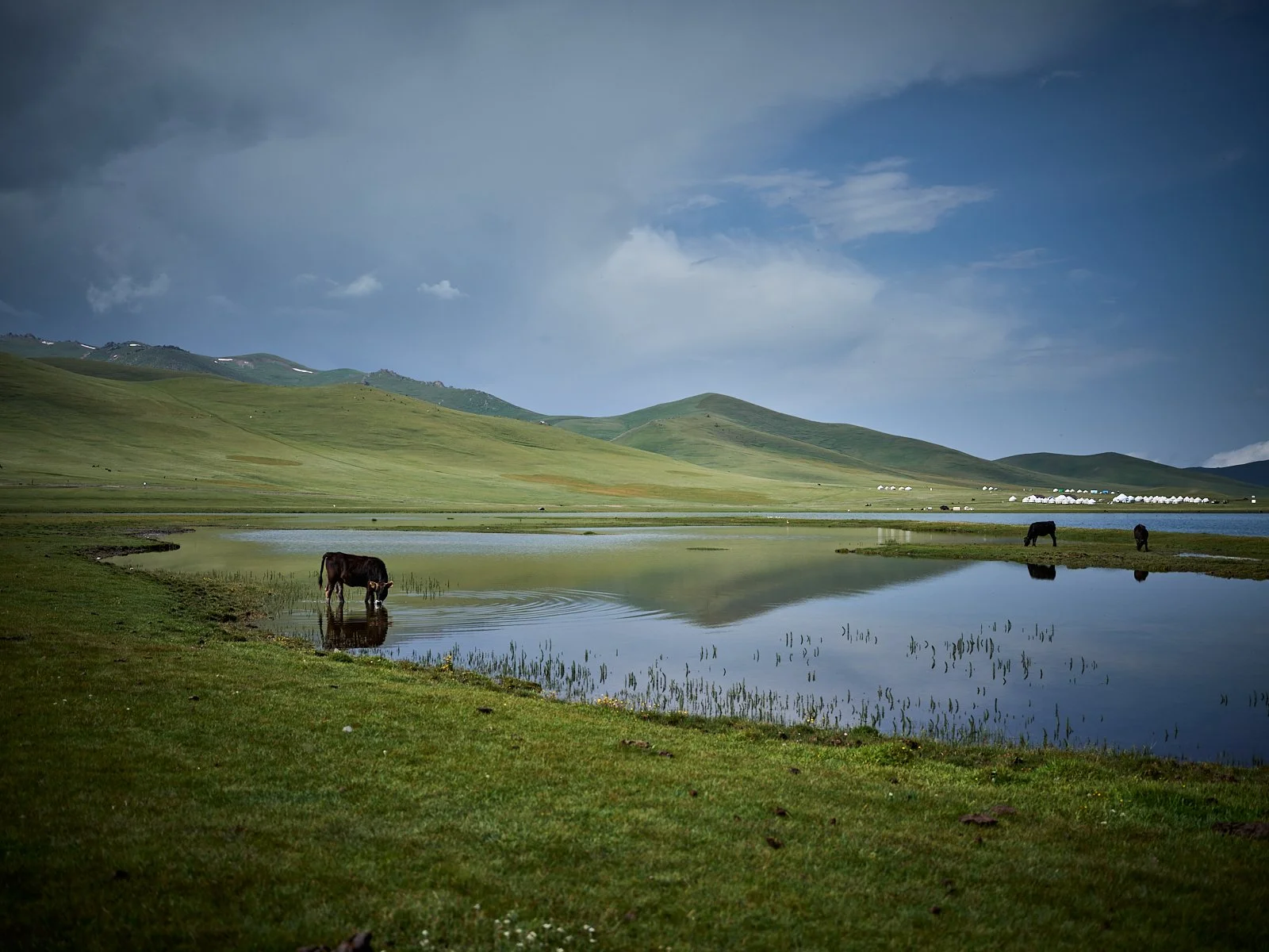 2026.KIRGHIZSTAN_LAC SONG KUL_©CyrilPerregaux.171.jpg